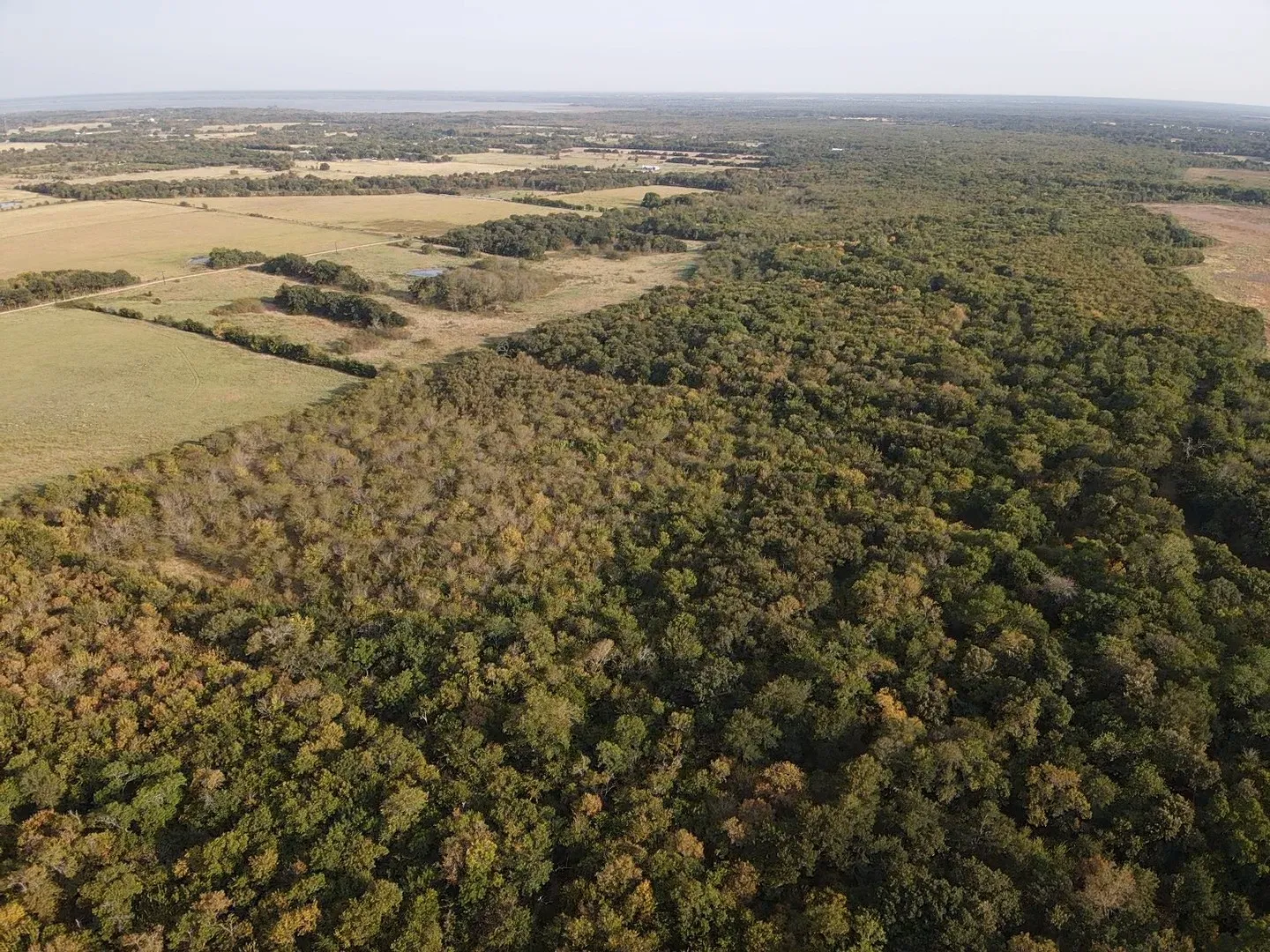 Unimproved Land For Sale in Delta County , 0000 CR 2185, Klondike, Texas 75448, 0, 0, Garage spaces, 0 Sqft, built in 0, mls#21367762, Real Estate Agent in Klondike, Homes For Sale in Delta county, Homes For Sale in Klondike, Realtor in Klondike Texas, Real Estate Brokerage Independent Realty Texas, Luminita Cordes Realtor