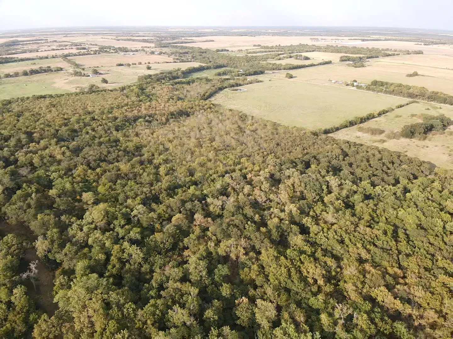 Unimproved Land For Sale in Delta County , 0000 CR 2185, Klondike, Texas 75448, 0, 0, Garage spaces, 0 Sqft, built in 0, mls#21367762, Real Estate Agent in Klondike, Homes For Sale in Delta county, Homes For Sale in Klondike, Realtor in Klondike Texas, Real Estate Brokerage Independent Realty Texas, Luminita Cordes Realtor