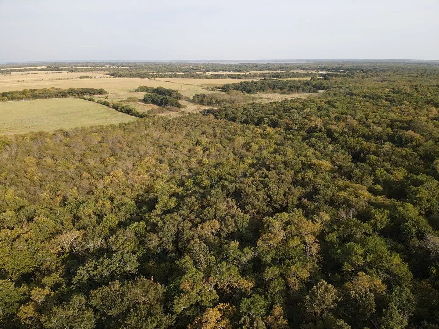 Unimproved Land For Sale in Delta County , 0000 CR 2185, Klondike, Texas 75448, 0, 0, Garage spaces, 0 Sqft, built in 0, mls#21367762, Real Estate Agent in Klondike, Homes For Sale in Delta county, Homes For Sale in Klondike, Realtor in Klondike Texas, Real Estate Brokerage Independent Realty Texas, Luminita Cordes Realtor