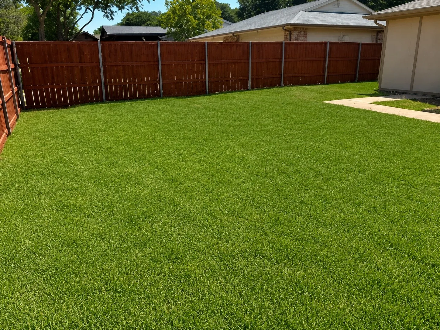 Beautiful yard with digitally enhanced grass.
