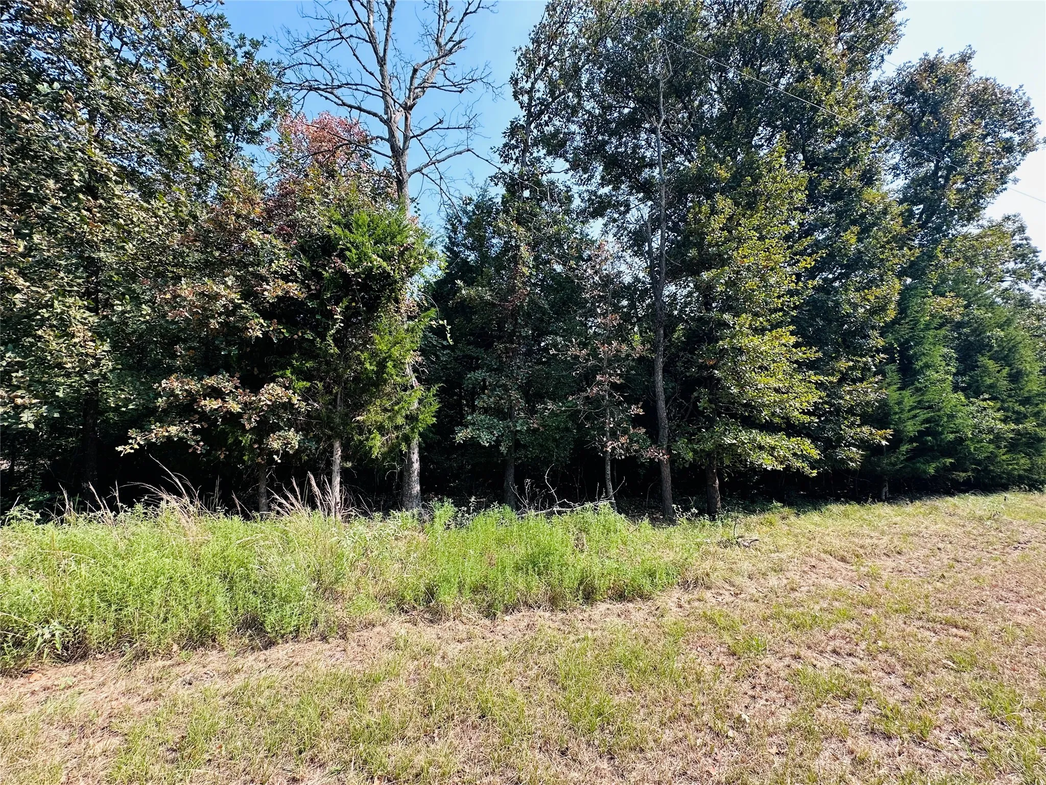 Unimproved Land For Sale in Henderson County , 12-14 Pedernales North, Athens, Texas 75752, 0, 0, Garage spaces, 0 Sqft, built in 0, mls#21371042, Real Estate Agent in Athens, Homes For Sale in Henderson county, Homes For Sale in Athens, Realtor in Athens Texas, Real Estate Brokerage Independent Realty Texas, Luminita Cordes Realtor