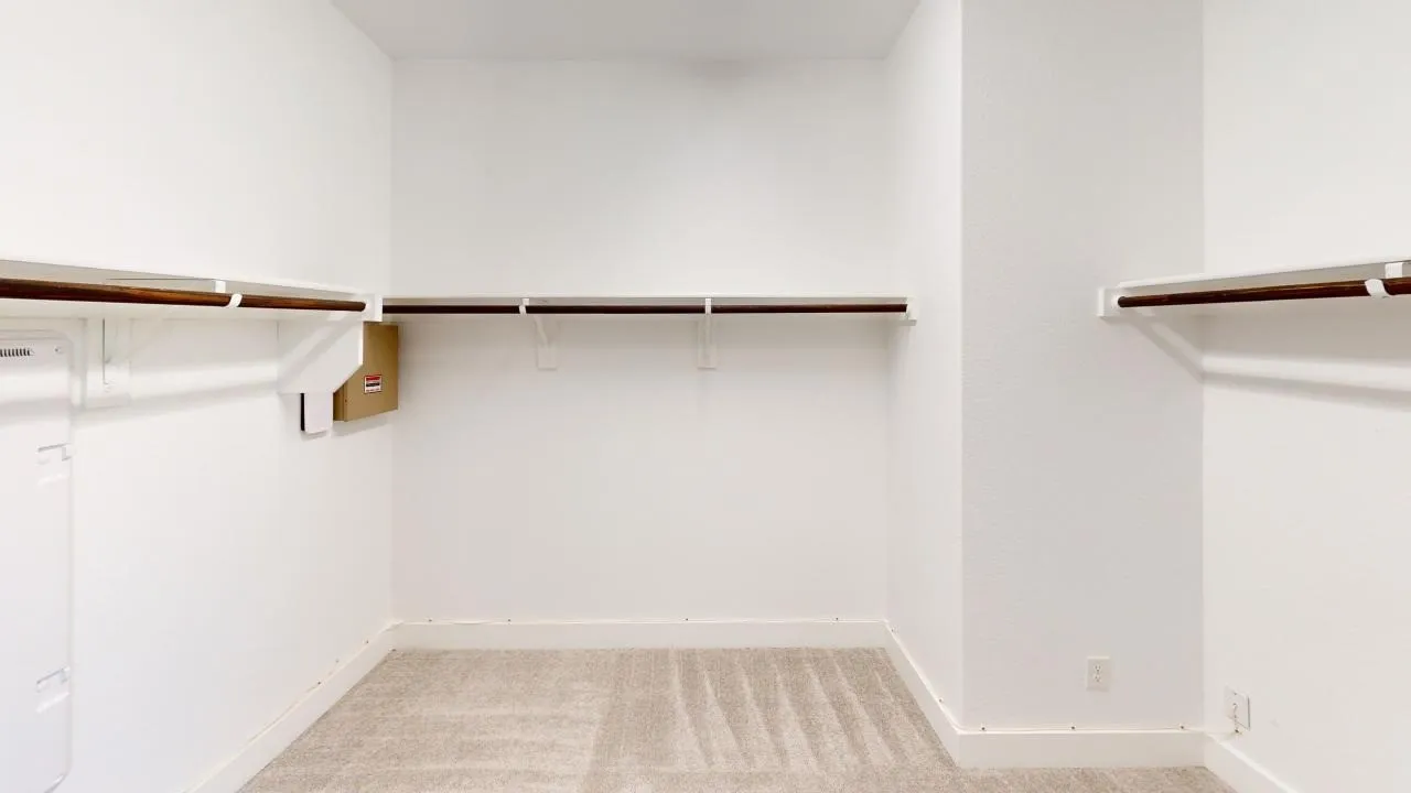 Walk-in closet with carpet flooring, white walls, and built-in clothes rods
