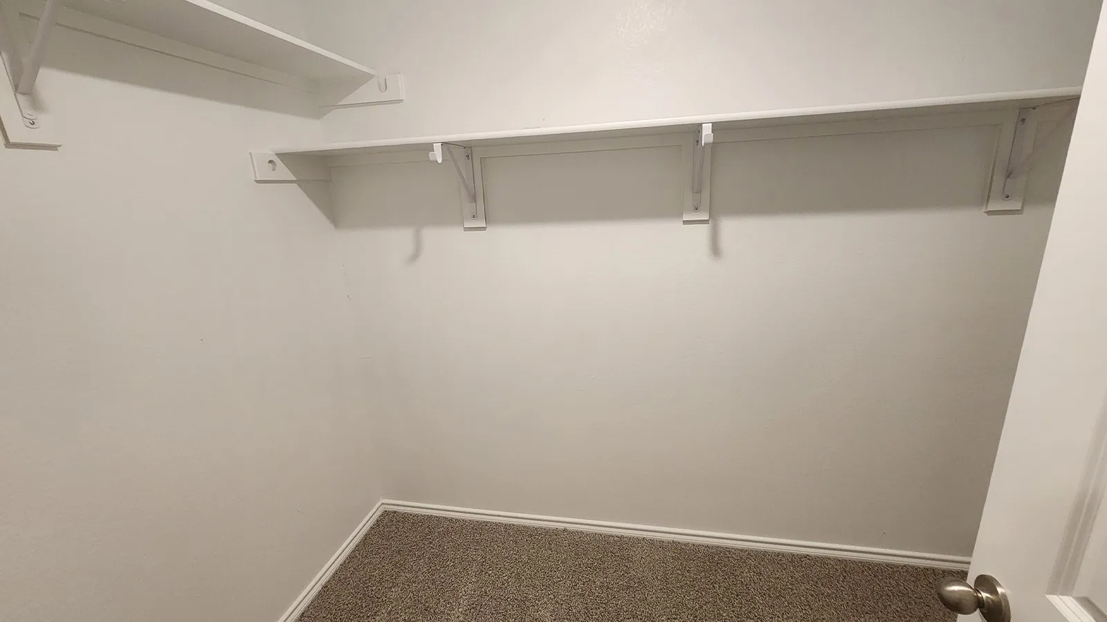 Built-in shelving and hanging rods over neutral carpeting