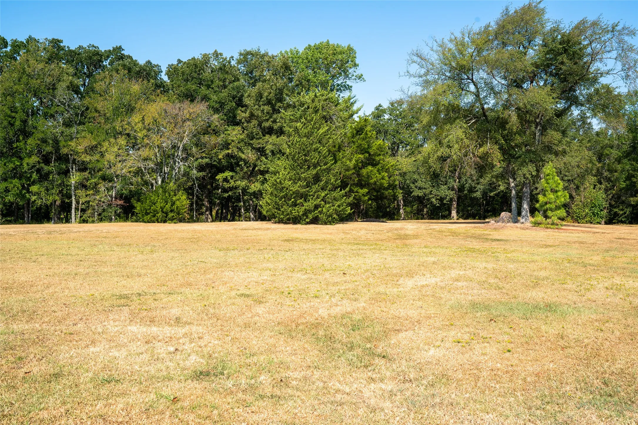 Single Family Residence For Sale in Hopkins County , 201 SHILOH, Sulphur Springs, Texas 75482, 4 Bedroom, 2 Bathroom, 2 Garage spaces, 3,283 Sqft, built in 1974, mls#21369783, Real Estate Agent in Sulphur Springs, Homes For Sale in Hopkins county, Homes For Sale in Sulphur Springs, Realtor in Sulphur Springs Texas, Real Estate Brokerage Independent Realty Texas, Luminita Cordes Realtor