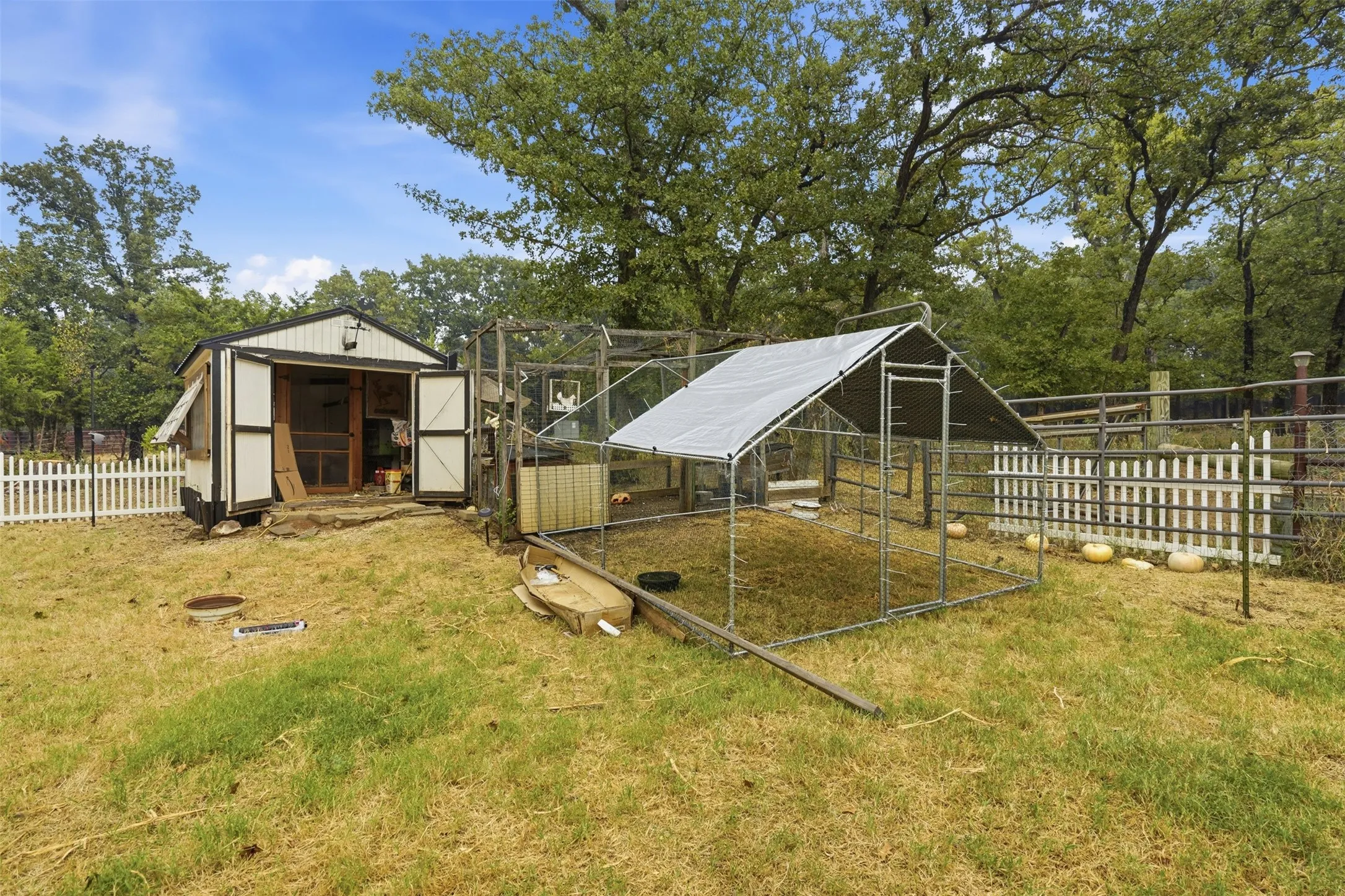 chicken coop with fence