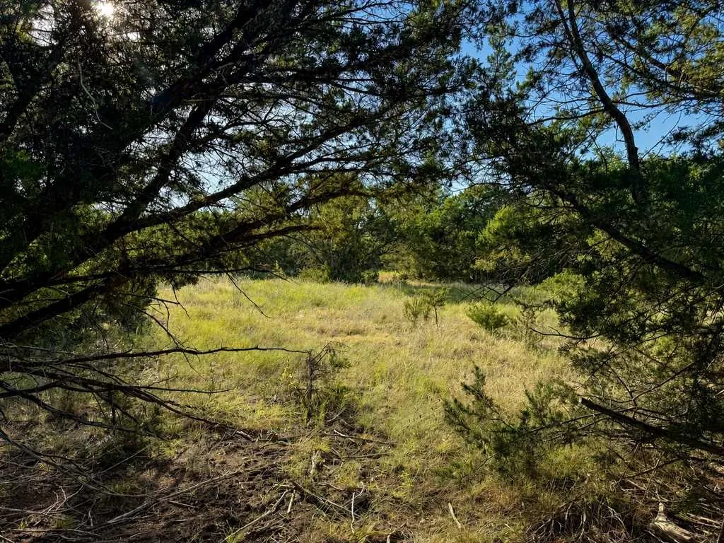 Single Family Residence For Sale in Coryell County , 1098 Winter Road, Gatesville, Texas 76528, 2 Bedroom, 1 Bathroom, Garage spaces, 596 Sqft, built in 2016, mls#21369890, Real Estate Agent in Gatesville, Homes For Sale in Coryell county, Homes For Sale in Gatesville, Realtor in Gatesville Texas, Real Estate Brokerage Independent Realty Texas, Luminita Cordes Realtor