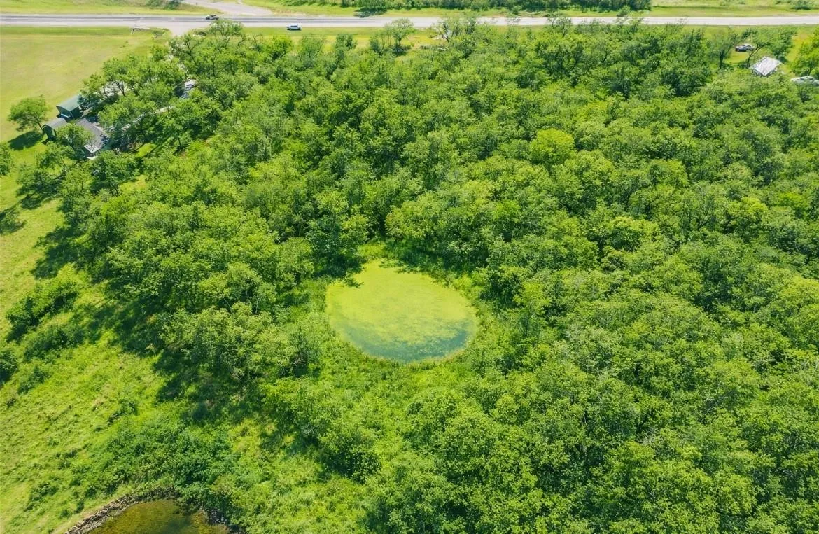 Expansive wooded acreage featuring a natural pond and additional water feature