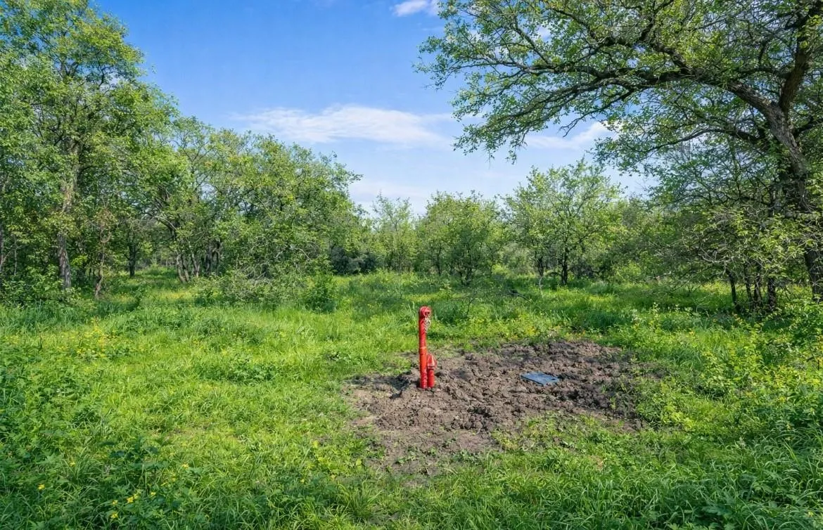 Unimproved Land For Sale in Hill County , 1029 FM 2114, Aquilla, Texas 76622, 0, 0, Garage spaces, 0 Sqft, built in 0, mls#21370605, Real Estate Agent in Aquilla, Homes For Sale in Hill county, Homes For Sale in Aquilla, Realtor in Aquilla Texas, Real Estate Brokerage Independent Realty Texas, Luminita Cordes Realtor