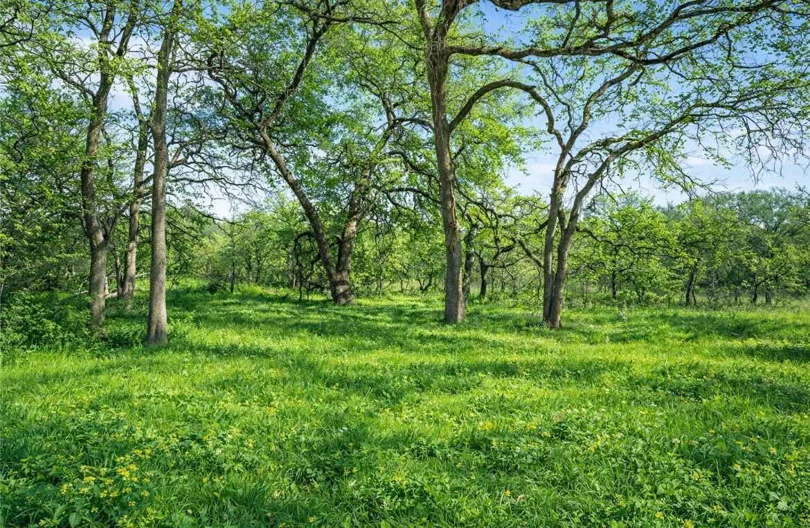 Unimproved Land For Sale in Hill County , 1029 FM 2114, Aquilla, Texas 76622, 0, 0, Garage spaces, 0 Sqft, built in 0, mls#21370605, Real Estate Agent in Aquilla, Homes For Sale in Hill county, Homes For Sale in Aquilla, Realtor in Aquilla Texas, Real Estate Brokerage Independent Realty Texas, Luminita Cordes Realtor