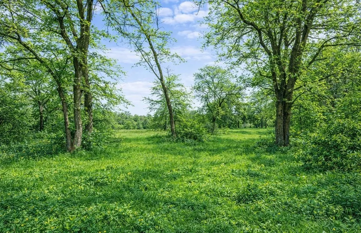 Unimproved Land For Sale in Hill County , 1029 FM 2114, Aquilla, Texas 76622, 0, 0, Garage spaces, 0 Sqft, built in 0, mls#21370605, Real Estate Agent in Aquilla, Homes For Sale in Hill county, Homes For Sale in Aquilla, Realtor in Aquilla Texas, Real Estate Brokerage Independent Realty Texas, Luminita Cordes Realtor