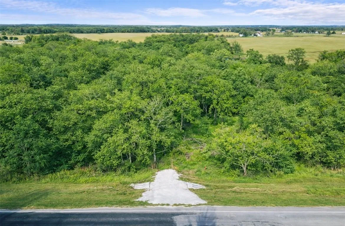 Expansive land parcel featuring dense mature trees and a gravel entrance