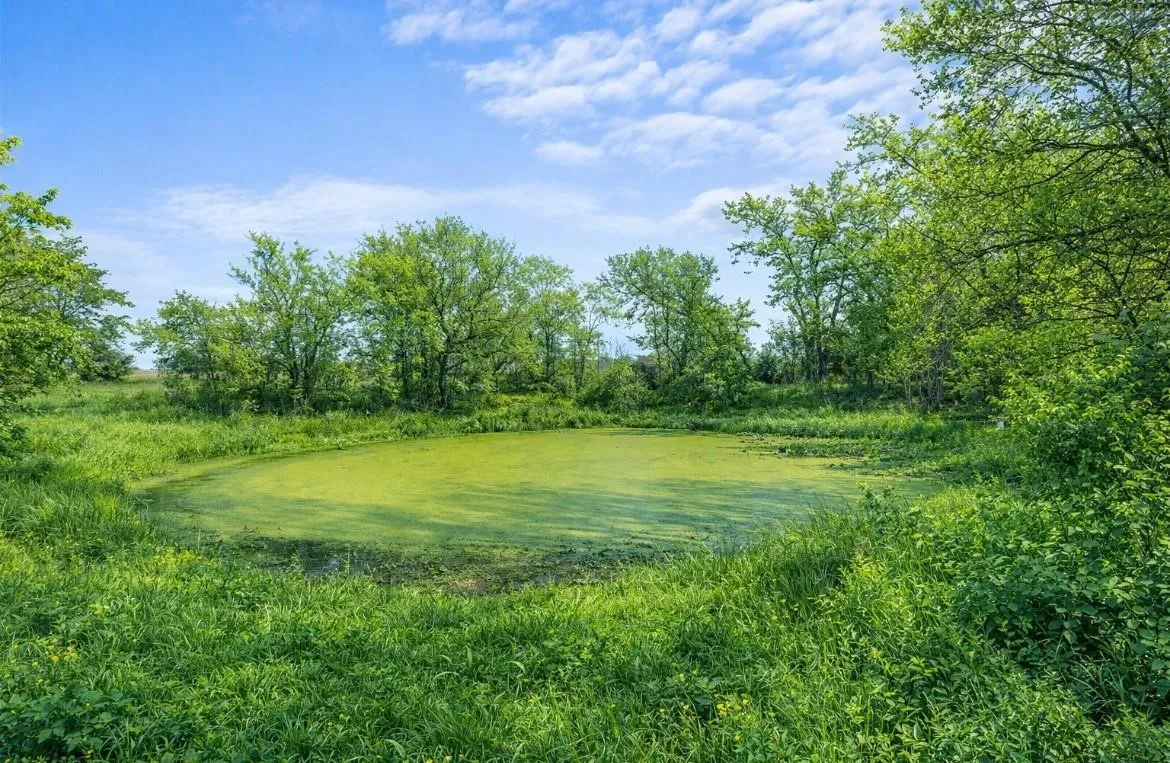 Unimproved Land For Sale in Hill County , 1029 FM 2114, Aquilla, Texas 76622, 0, 0, Garage spaces, 0 Sqft, built in 0, mls#21370605, Real Estate Agent in Aquilla, Homes For Sale in Hill county, Homes For Sale in Aquilla, Realtor in Aquilla Texas, Real Estate Brokerage Independent Realty Texas, Luminita Cordes Realtor