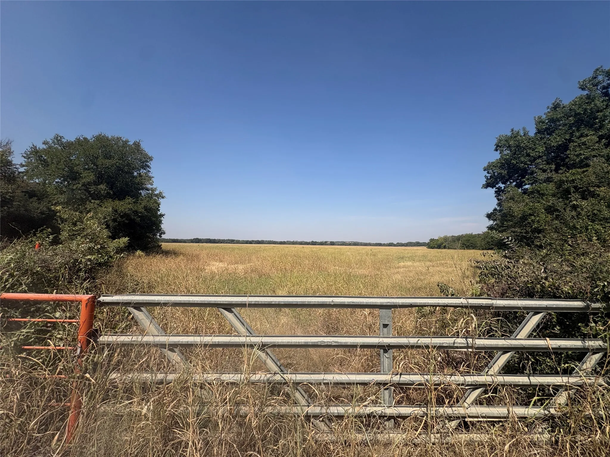 Unimproved Land For Sale in Erath County , TBD County Road 247, Hico, Texas 76446, 0, 0, Garage spaces, 0 Sqft, built in 0, mls#21371455, Real Estate Agent in Hico, Homes For Sale in Erath county, Homes For Sale in Hico, Realtor in Hico Texas, Real Estate Brokerage Independent Realty Texas, Luminita Cordes Realtor
