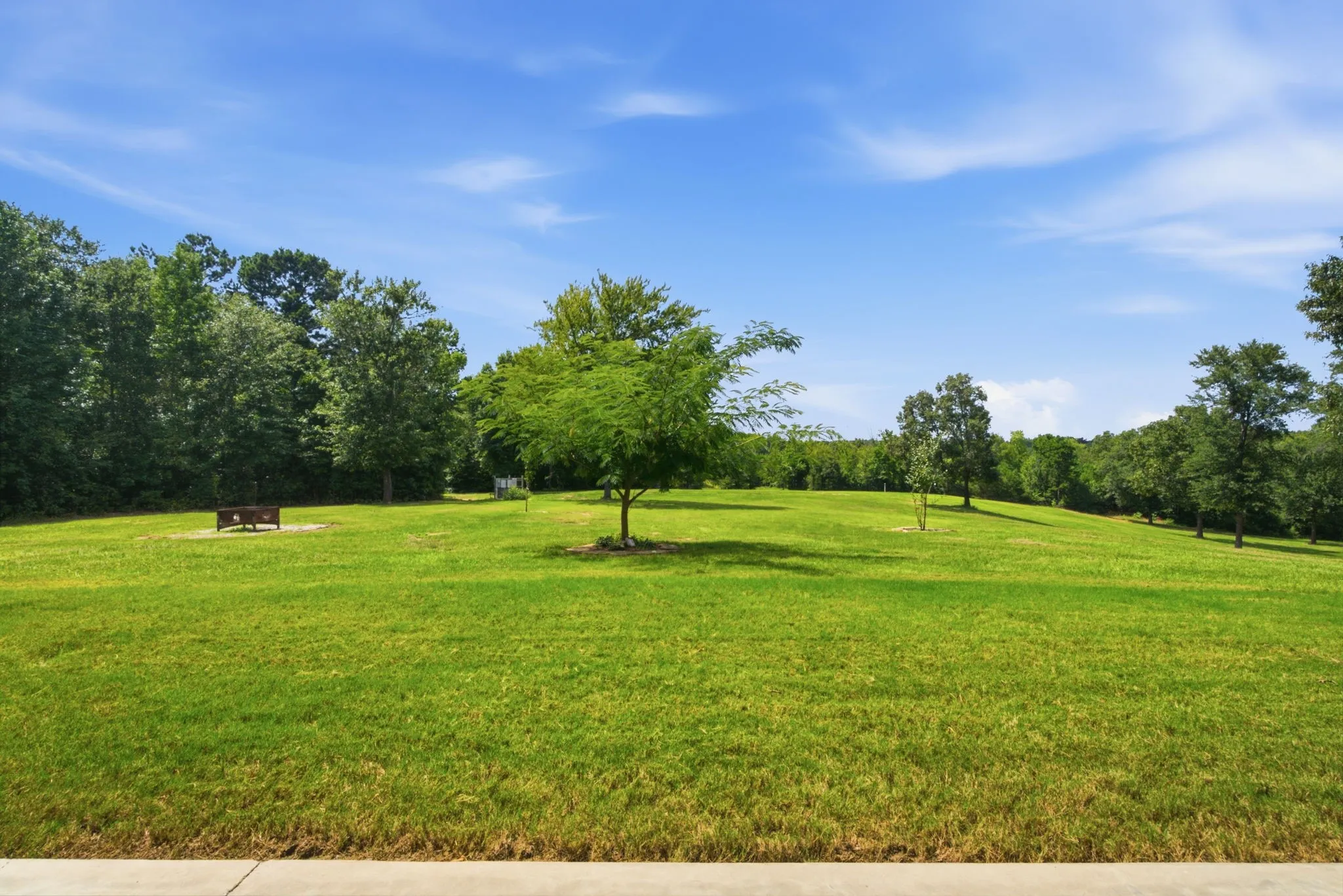 Expansive green space featuring a large grassy area and mature trees