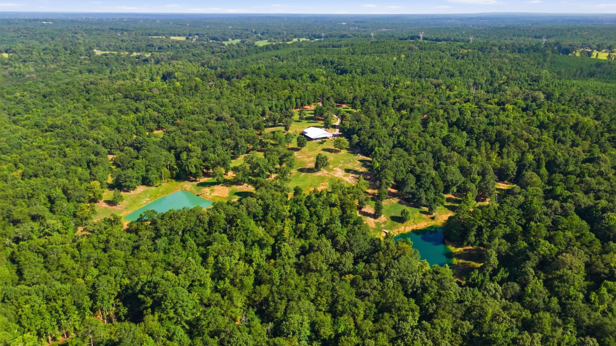 Expansive wooded acreage featuring a single-story residence, two distinct ponds, and clearings around the home