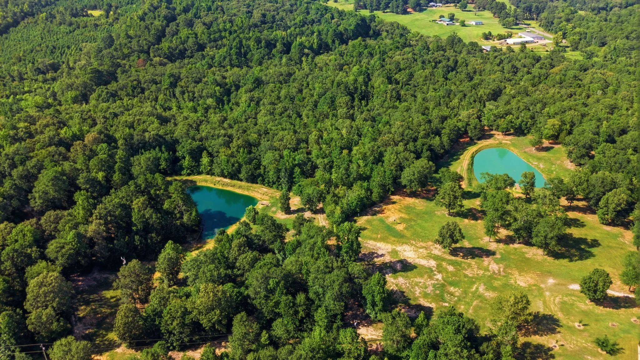 Expansive acreage featuring dense wooded areas, open clearings, and two serene ponds