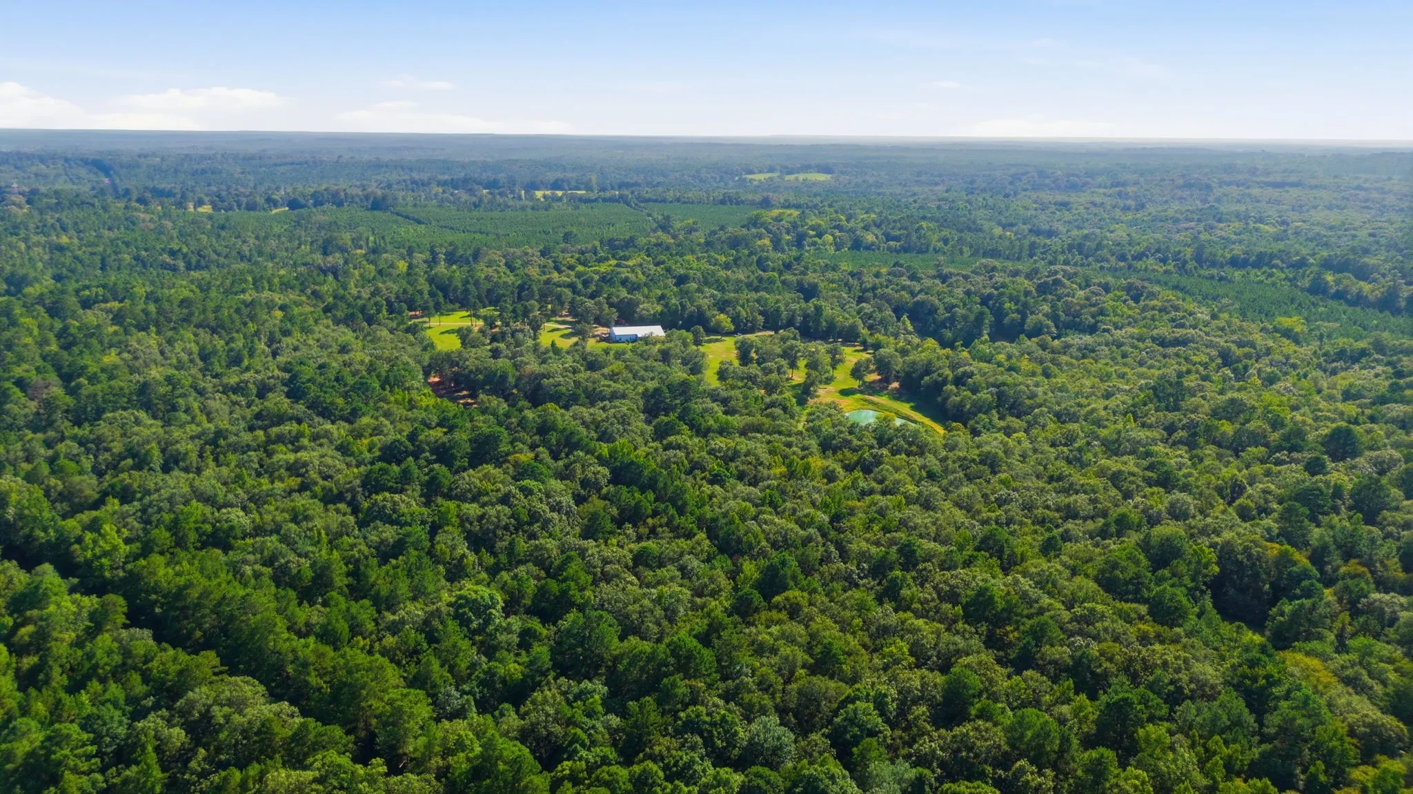Expansive property surrounded by dense, mature woodlands