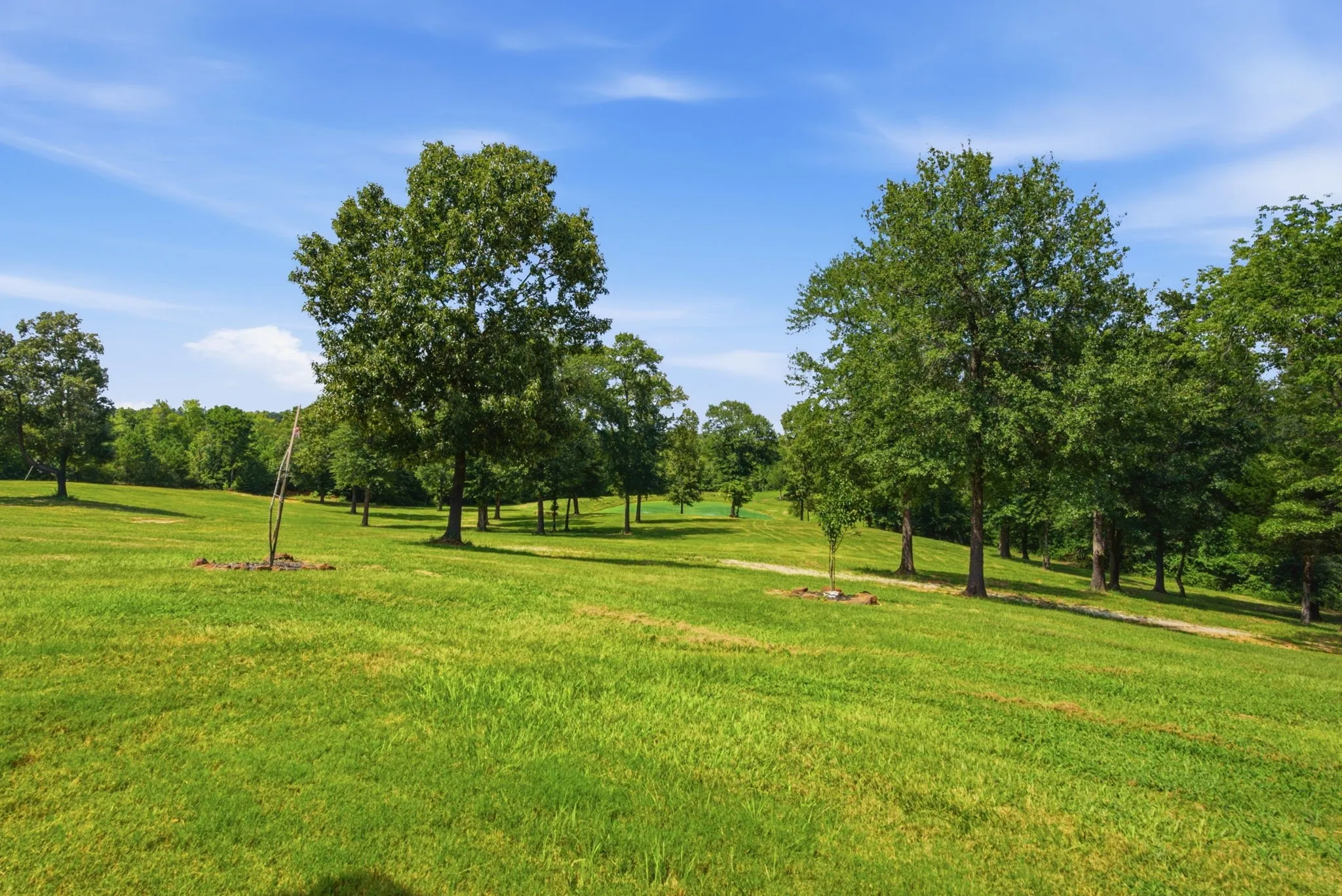 Expansive green lawn with scattered mature trees and natural landscaping