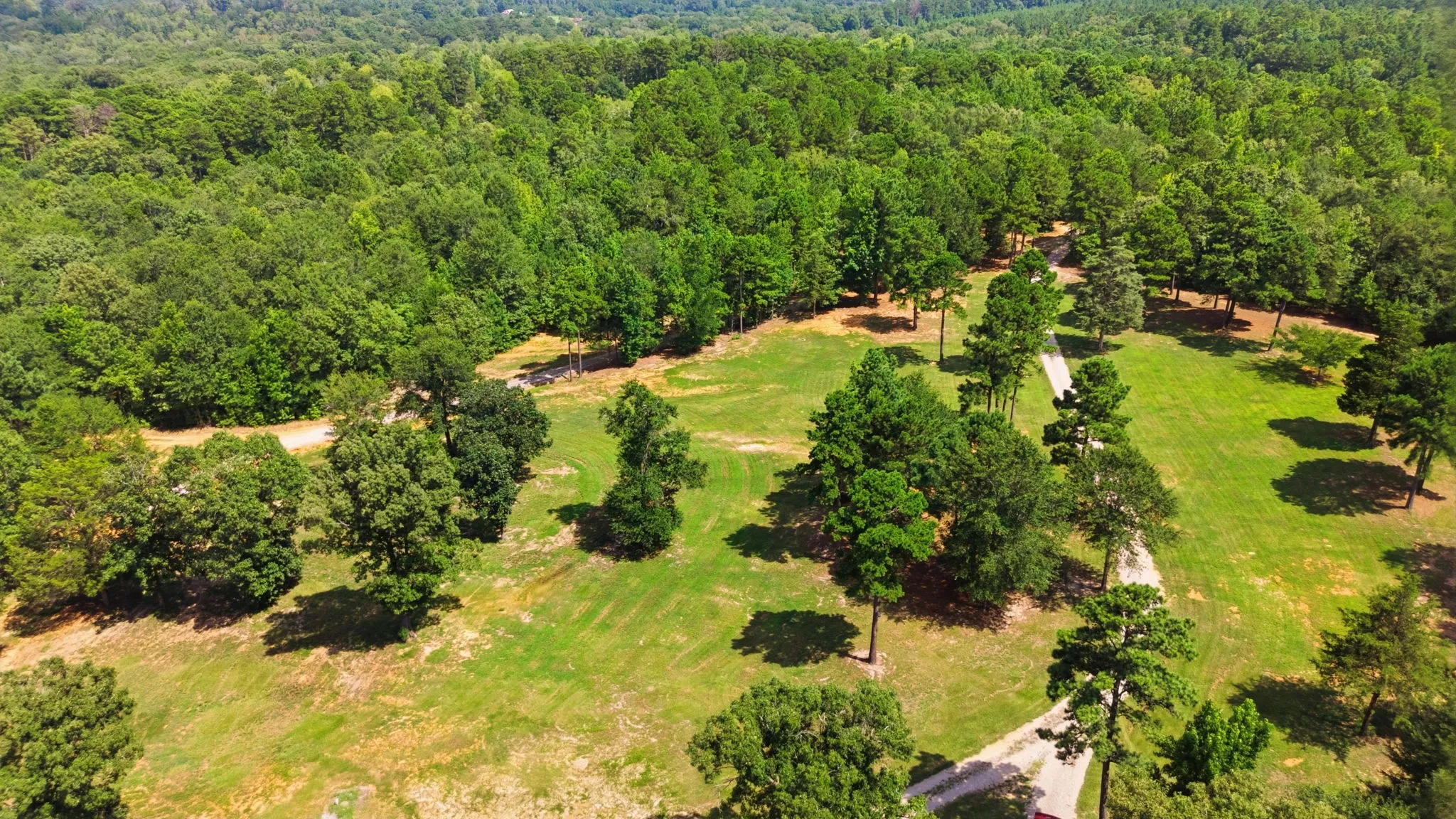 Extensive property featuring a winding driveway, mature trees, and a backdrop of dense woodland