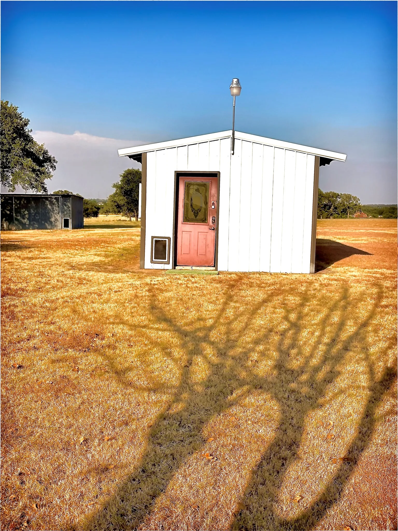 Mobile Home For Sale in Erath County , 1770 County Road 376, Dublin, Texas 76446, 3 Bedroom, 2 Bathroom, Garage spaces, 1,568 Sqft, built in 1985, mls#21370247, Real Estate Agent in Dublin, Homes For Sale in Erath county, Homes For Sale in Dublin, Realtor in Dublin Texas, Real Estate Brokerage Independent Realty Texas, Luminita Cordes Realtor