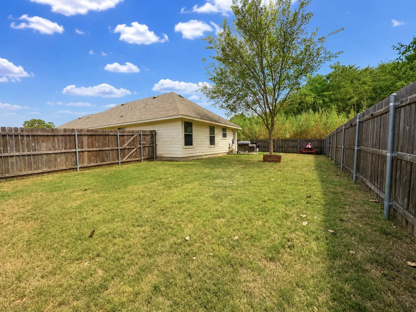 Fenced backyard with a mature tree, expansive lawn, and a neutral-toned exterior
