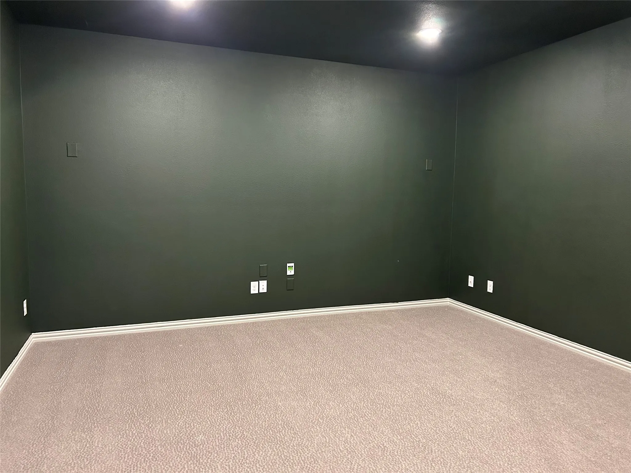 Neutral-toned carpeting with white trim