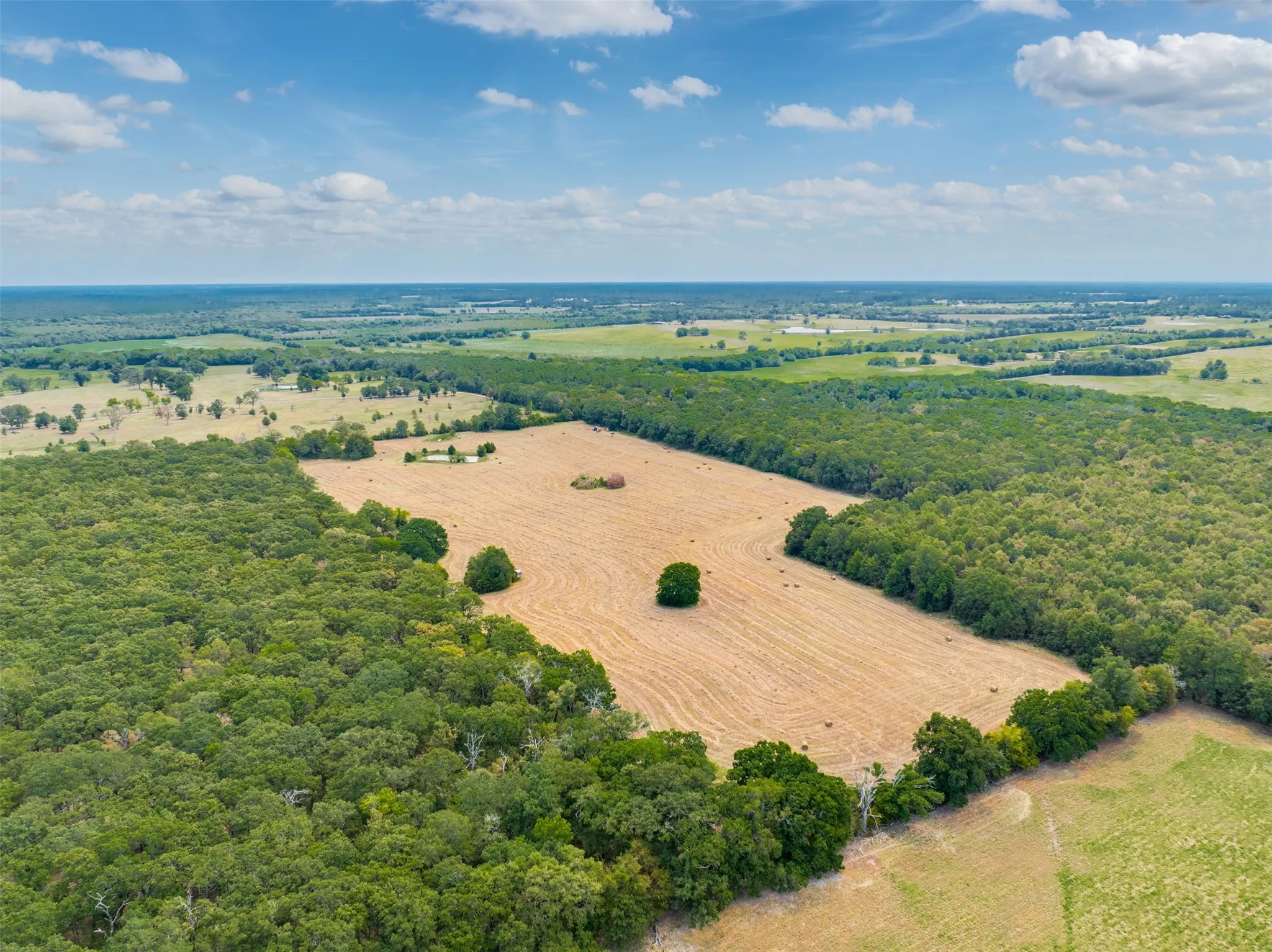 Unimproved Land For Sale in Red River (TX) County , TBD County Road 1305, Bogata, Texas 75417, 0, 0, Garage spaces, 0 Sqft, built in 0, mls#21371558, Real Estate Agent in Bogata, Homes For Sale in Red River (TX) county, Homes For Sale in Bogata, Realtor in Bogata Texas, Real Estate Brokerage Independent Realty Texas, Luminita Cordes Realtor