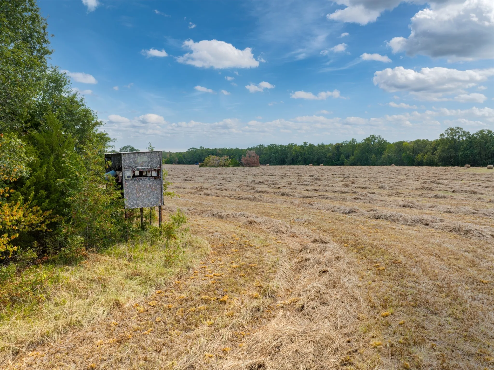 Unimproved Land For Sale in Red River (TX) County , TBD County Road 1305, Bogata, Texas 75417, 0, 0, Garage spaces, 0 Sqft, built in 0, mls#21371558, Real Estate Agent in Bogata, Homes For Sale in Red River (TX) county, Homes For Sale in Bogata, Realtor in Bogata Texas, Real Estate Brokerage Independent Realty Texas, Luminita Cordes Realtor