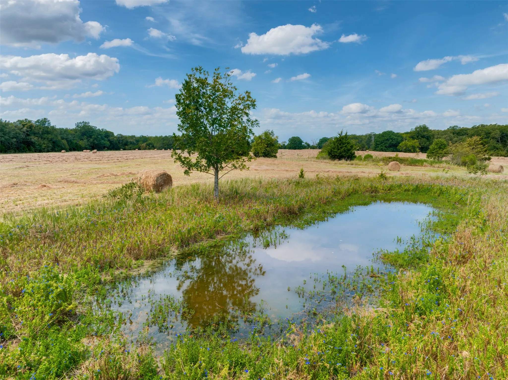 Unimproved Land For Sale in Red River (TX) County , TBD County Road 1305, Bogata, Texas 75417, 0, 0, Garage spaces, 0 Sqft, built in 0, mls#21371558, Real Estate Agent in Bogata, Homes For Sale in Red River (TX) county, Homes For Sale in Bogata, Realtor in Bogata Texas, Real Estate Brokerage Independent Realty Texas, Luminita Cordes Realtor