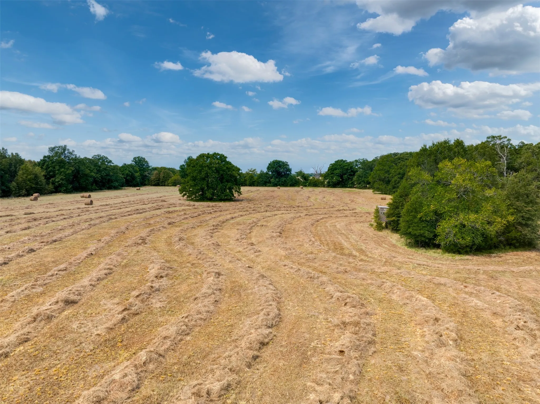 Unimproved Land For Sale in Red River (TX) County , TBD County Road 1305, Bogata, Texas 75417, 0, 0, Garage spaces, 0 Sqft, built in 0, mls#21371558, Real Estate Agent in Bogata, Homes For Sale in Red River (TX) county, Homes For Sale in Bogata, Realtor in Bogata Texas, Real Estate Brokerage Independent Realty Texas, Luminita Cordes Realtor