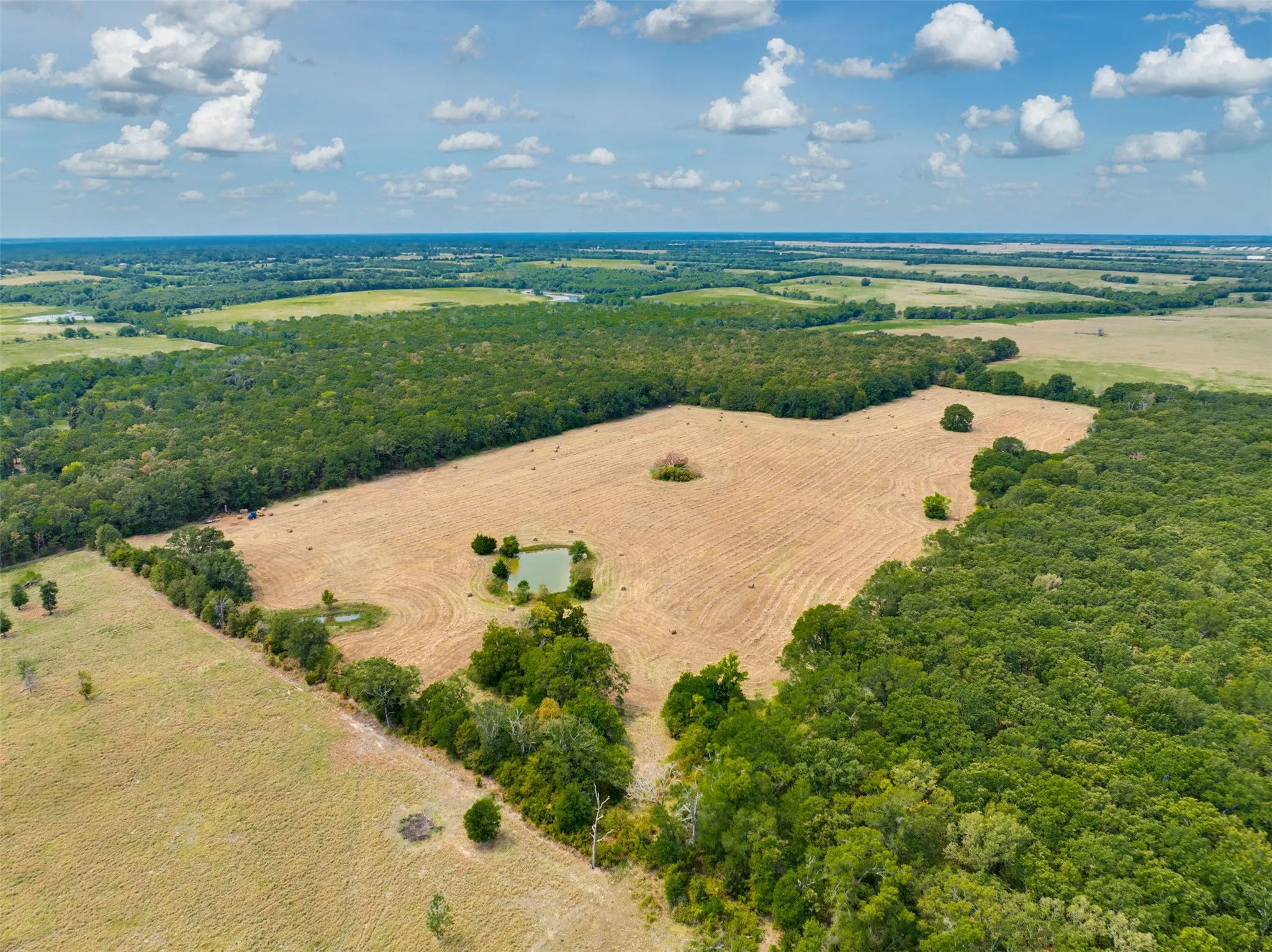 Unimproved Land For Sale in Red River (TX) County , TBD County Road 1305, Bogata, Texas 75417, 0, 0, Garage spaces, 0 Sqft, built in 0, mls#21371558, Real Estate Agent in Bogata, Homes For Sale in Red River (TX) county, Homes For Sale in Bogata, Realtor in Bogata Texas, Real Estate Brokerage Independent Realty Texas, Luminita Cordes Realtor