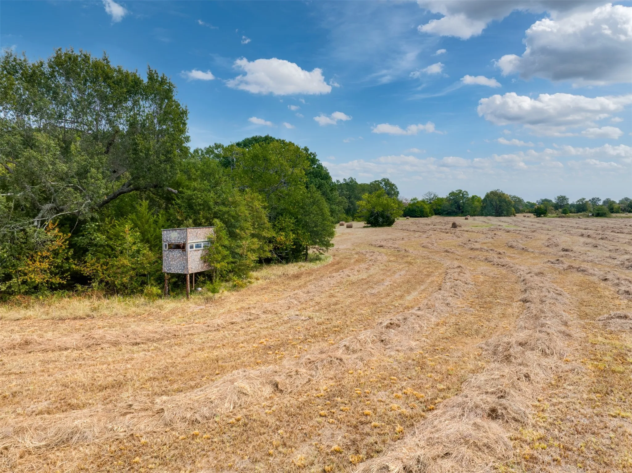 Unimproved Land For Sale in Red River (TX) County , TBD County Road 1305, Bogata, Texas 75417, 0, 0, Garage spaces, 0 Sqft, built in 0, mls#21371558, Real Estate Agent in Bogata, Homes For Sale in Red River (TX) county, Homes For Sale in Bogata, Realtor in Bogata Texas, Real Estate Brokerage Independent Realty Texas, Luminita Cordes Realtor