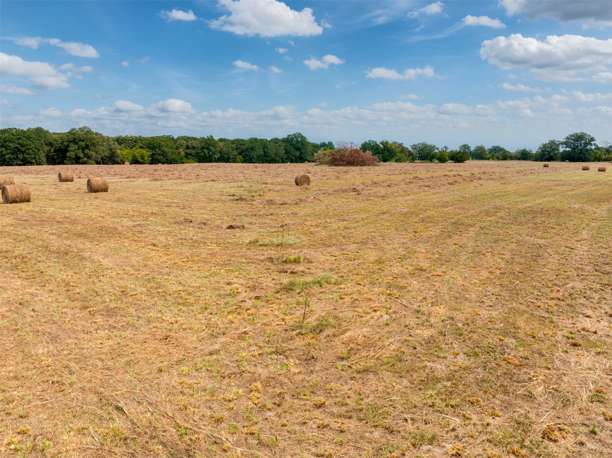Unimproved Land For Sale in Red River (TX) County , TBD County Road 1305, Bogata, Texas 75417, 0, 0, Garage spaces, 0 Sqft, built in 0, mls#21371558, Real Estate Agent in Bogata, Homes For Sale in Red River (TX) county, Homes For Sale in Bogata, Realtor in Bogata Texas, Real Estate Brokerage Independent Realty Texas, Luminita Cordes Realtor
