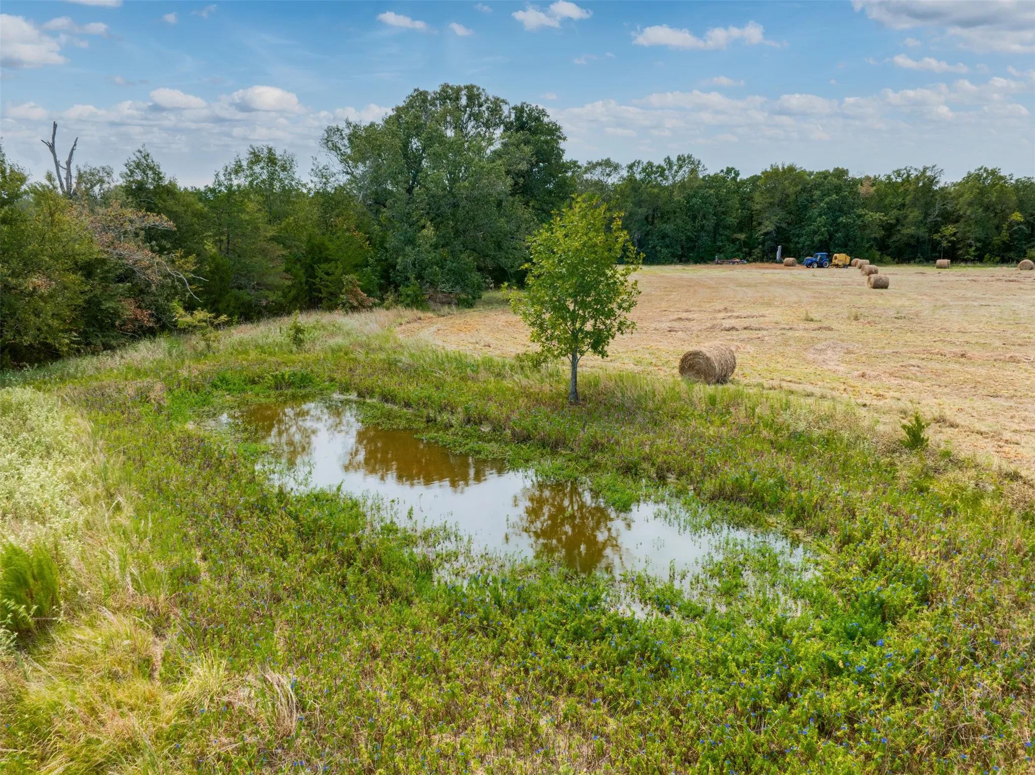 Unimproved Land For Sale in Red River (TX) County , TBD County Road 1305, Bogata, Texas 75417, 0, 0, Garage spaces, 0 Sqft, built in 0, mls#21371558, Real Estate Agent in Bogata, Homes For Sale in Red River (TX) county, Homes For Sale in Bogata, Realtor in Bogata Texas, Real Estate Brokerage Independent Realty Texas, Luminita Cordes Realtor