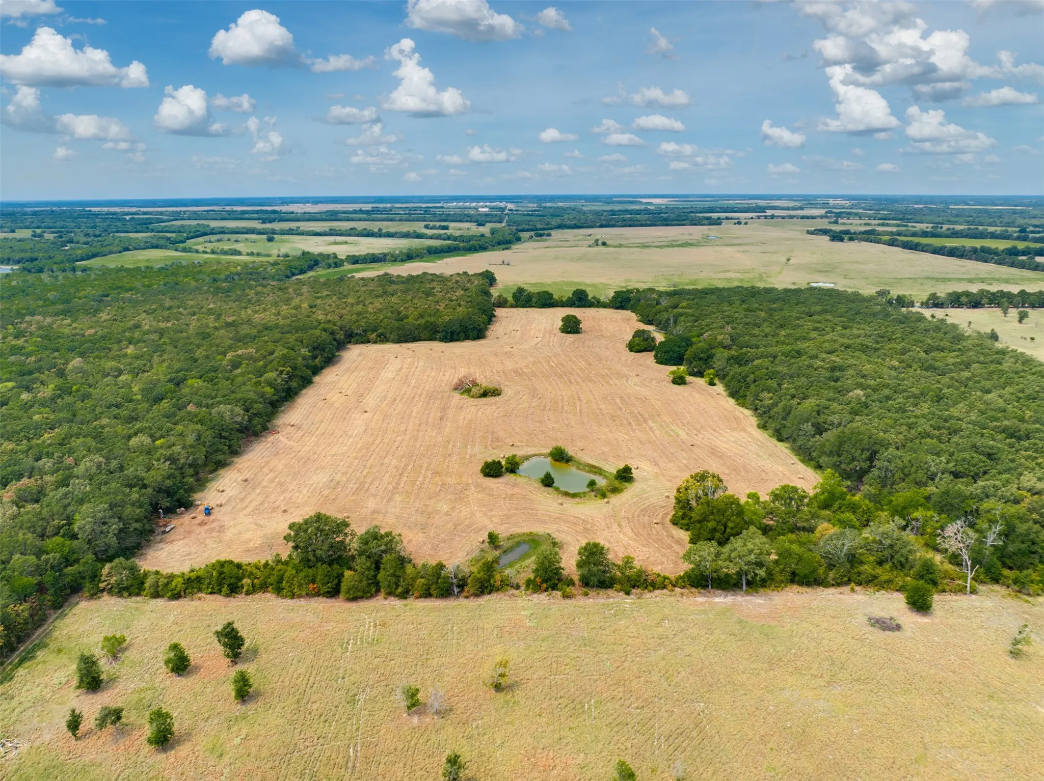 Unimproved Land For Sale in Red River (TX) County , TBD County Road 1305, Bogata, Texas 75417, 0, 0, Garage spaces, 0 Sqft, built in 0, mls#21371558, Real Estate Agent in Bogata, Homes For Sale in Red River (TX) county, Homes For Sale in Bogata, Realtor in Bogata Texas, Real Estate Brokerage Independent Realty Texas, Luminita Cordes Realtor
