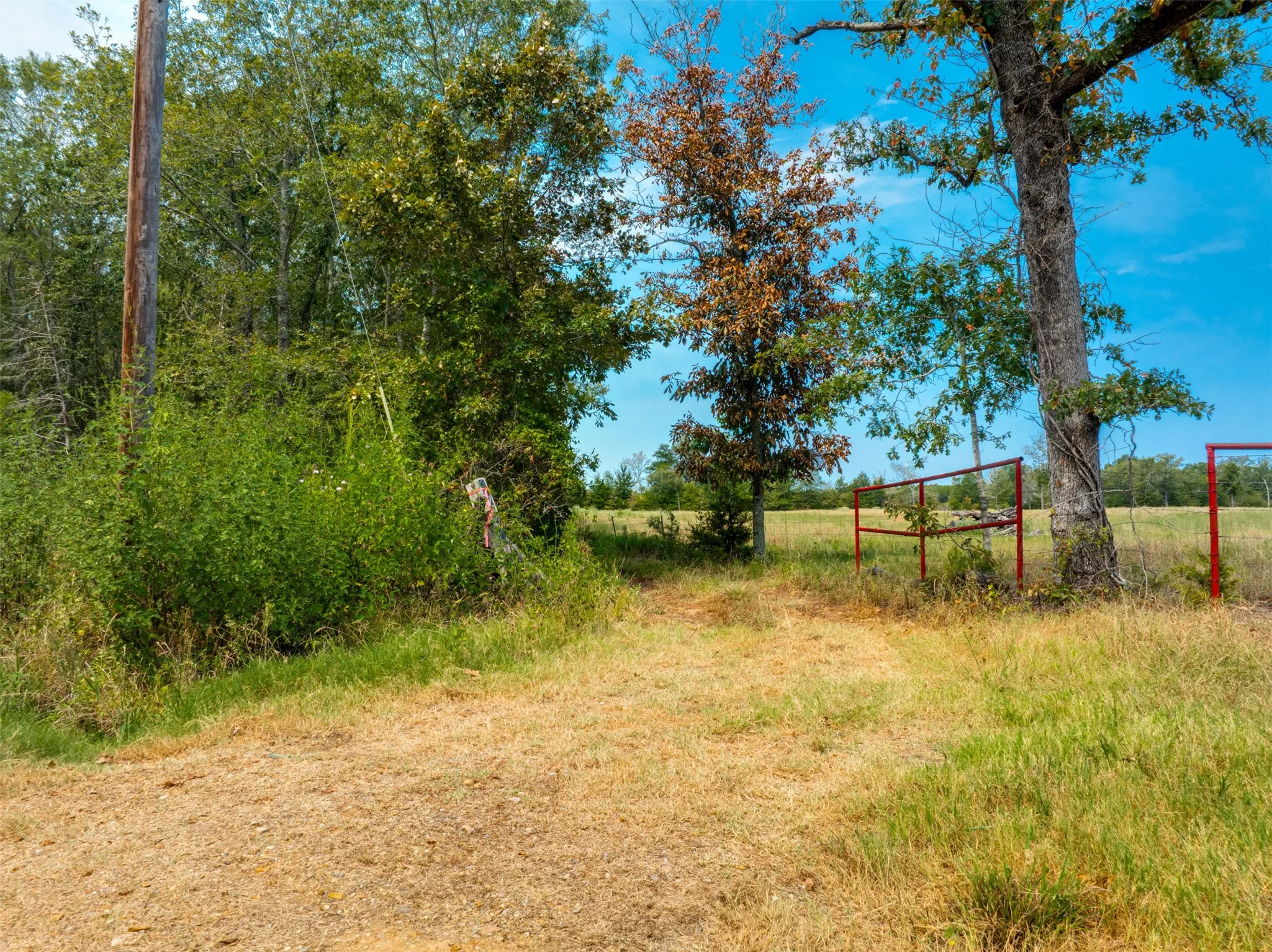 Unimproved Land For Sale in Red River (TX) County , TBD County Road 1305, Bogata, Texas 75417, 0, 0, Garage spaces, 0 Sqft, built in 0, mls#21371558, Real Estate Agent in Bogata, Homes For Sale in Red River (TX) county, Homes For Sale in Bogata, Realtor in Bogata Texas, Real Estate Brokerage Independent Realty Texas, Luminita Cordes Realtor