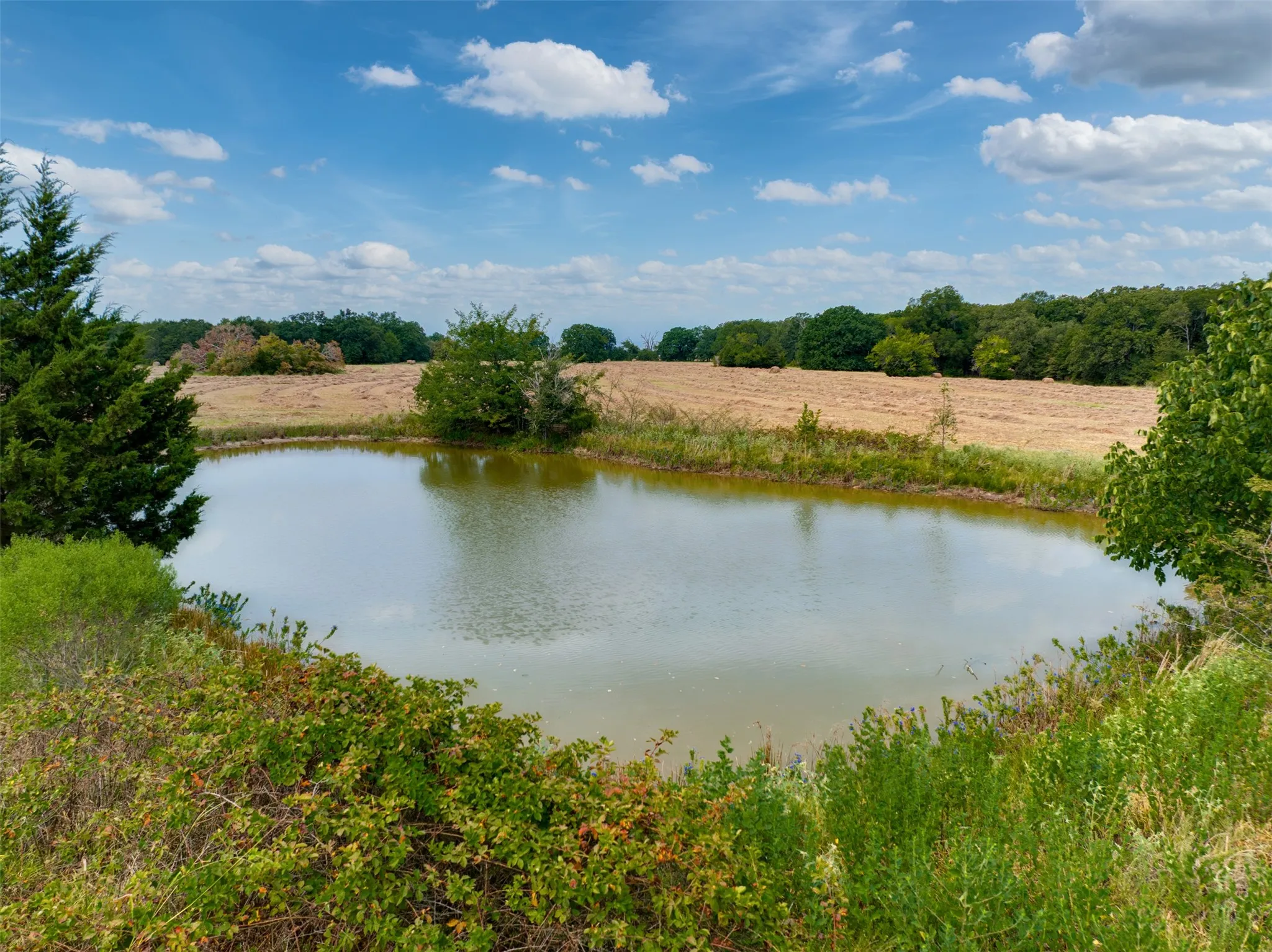 Unimproved Land For Sale in Red River (TX) County , TBD County Road 1305, Bogata, Texas 75417, 0, 0, Garage spaces, 0 Sqft, built in 0, mls#21371558, Real Estate Agent in Bogata, Homes For Sale in Red River (TX) county, Homes For Sale in Bogata, Realtor in Bogata Texas, Real Estate Brokerage Independent Realty Texas, Luminita Cordes Realtor