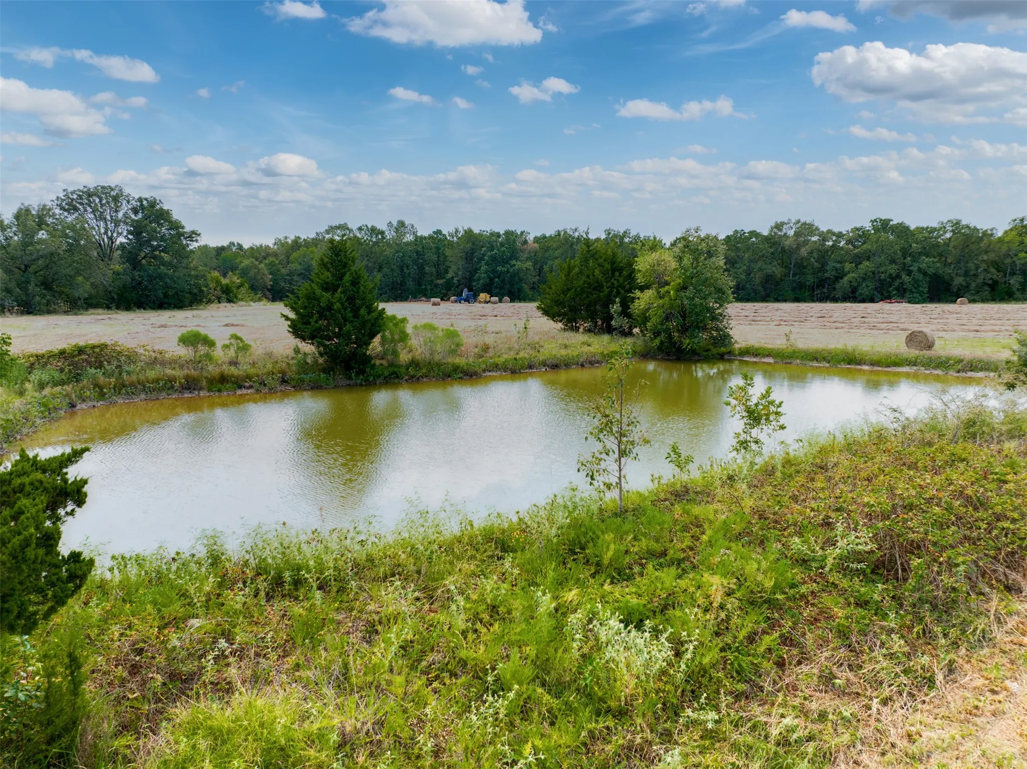 Unimproved Land For Sale in Red River (TX) County , TBD County Road 1305, Bogata, Texas 75417, 0, 0, Garage spaces, 0 Sqft, built in 0, mls#21371558, Real Estate Agent in Bogata, Homes For Sale in Red River (TX) county, Homes For Sale in Bogata, Realtor in Bogata Texas, Real Estate Brokerage Independent Realty Texas, Luminita Cordes Realtor