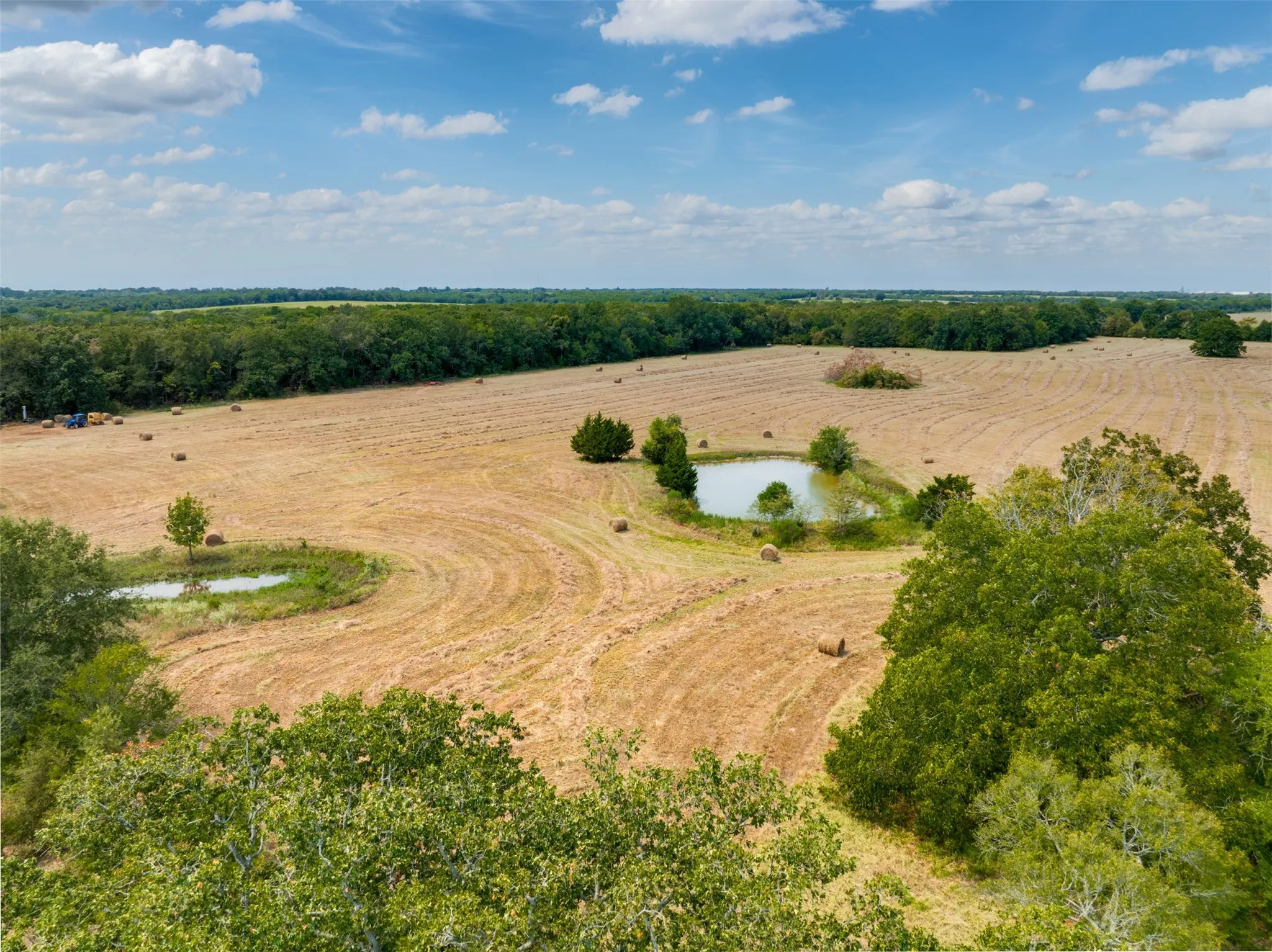 Unimproved Land For Sale in Red River (TX) County , TBD County Road 1305, Bogata, Texas 75417, 0, 0, Garage spaces, 0 Sqft, built in 0, mls#21371558, Real Estate Agent in Bogata, Homes For Sale in Red River (TX) county, Homes For Sale in Bogata, Realtor in Bogata Texas, Real Estate Brokerage Independent Realty Texas, Luminita Cordes Realtor