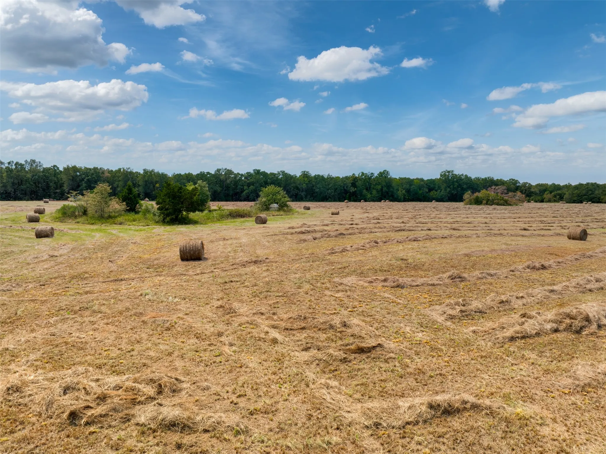 Unimproved Land For Sale in Red River (TX) County , TBD County Road 1305, Bogata, Texas 75417, 0, 0, Garage spaces, 0 Sqft, built in 0, mls#21371558, Real Estate Agent in Bogata, Homes For Sale in Red River (TX) county, Homes For Sale in Bogata, Realtor in Bogata Texas, Real Estate Brokerage Independent Realty Texas, Luminita Cordes Realtor