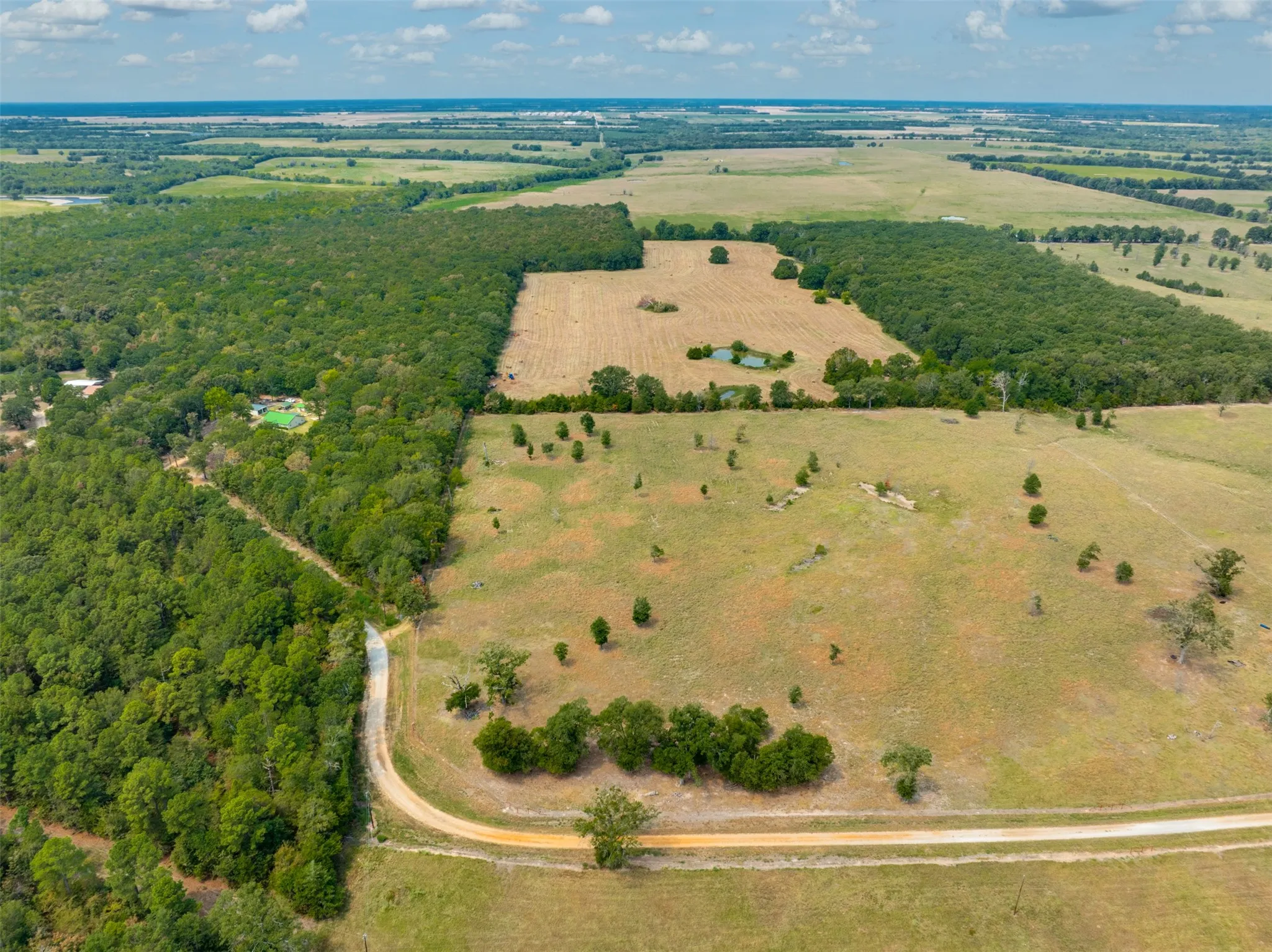 Unimproved Land For Sale in Red River (TX) County , TBD County Road 1305, Bogata, Texas 75417, 0, 0, Garage spaces, 0 Sqft, built in 0, mls#21371558, Real Estate Agent in Bogata, Homes For Sale in Red River (TX) county, Homes For Sale in Bogata, Realtor in Bogata Texas, Real Estate Brokerage Independent Realty Texas, Luminita Cordes Realtor