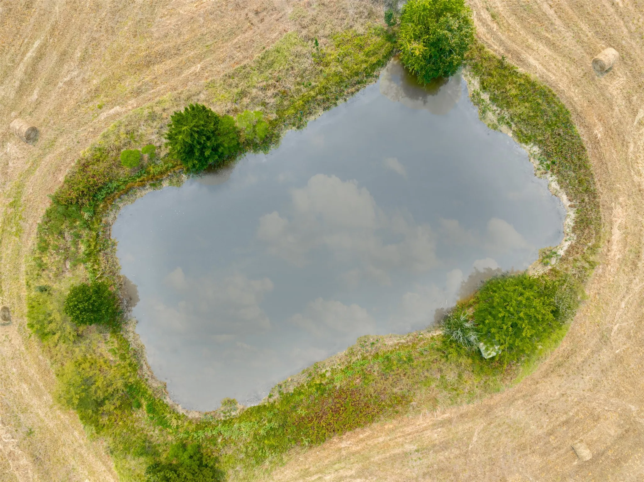 Unimproved Land For Sale in Red River (TX) County , TBD County Road 1305, Bogata, Texas 75417, 0, 0, Garage spaces, 0 Sqft, built in 0, mls#21371558, Real Estate Agent in Bogata, Homes For Sale in Red River (TX) county, Homes For Sale in Bogata, Realtor in Bogata Texas, Real Estate Brokerage Independent Realty Texas, Luminita Cordes Realtor