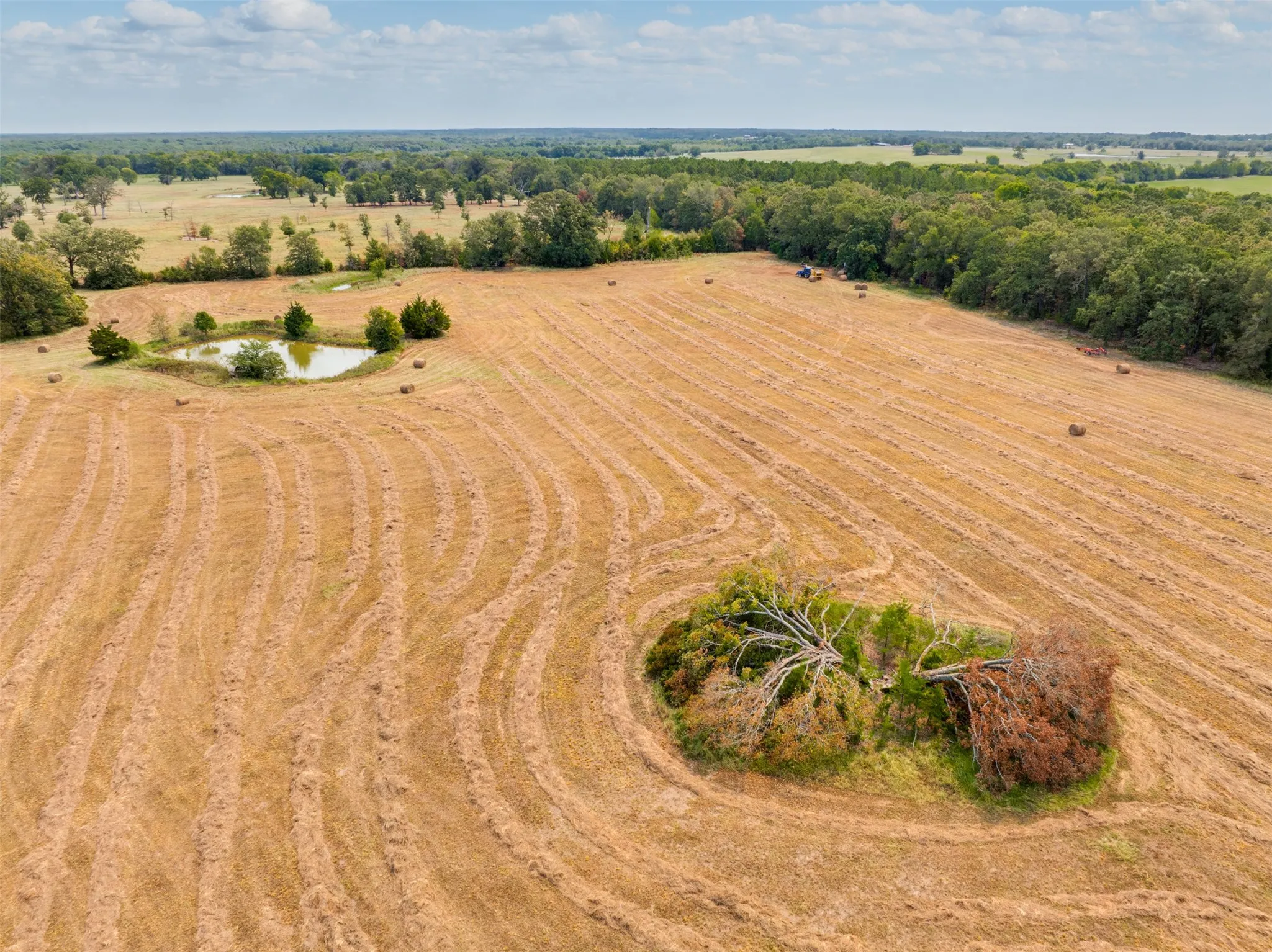 Unimproved Land For Sale in Red River (TX) County , TBD County Road 1305, Bogata, Texas 75417, 0, 0, Garage spaces, 0 Sqft, built in 0, mls#21371558, Real Estate Agent in Bogata, Homes For Sale in Red River (TX) county, Homes For Sale in Bogata, Realtor in Bogata Texas, Real Estate Brokerage Independent Realty Texas, Luminita Cordes Realtor