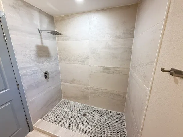 Walk-in shower with large format wall tiles and a rainfall showerhead