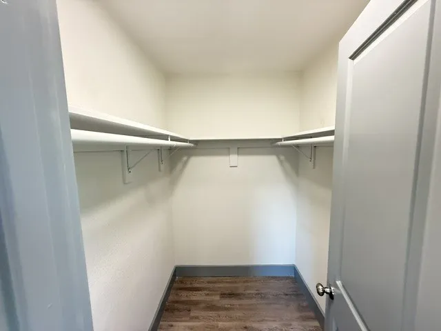 Walk-in closet with integrated shelving, hanging rods, wood-finish flooring, and light gray wall paint