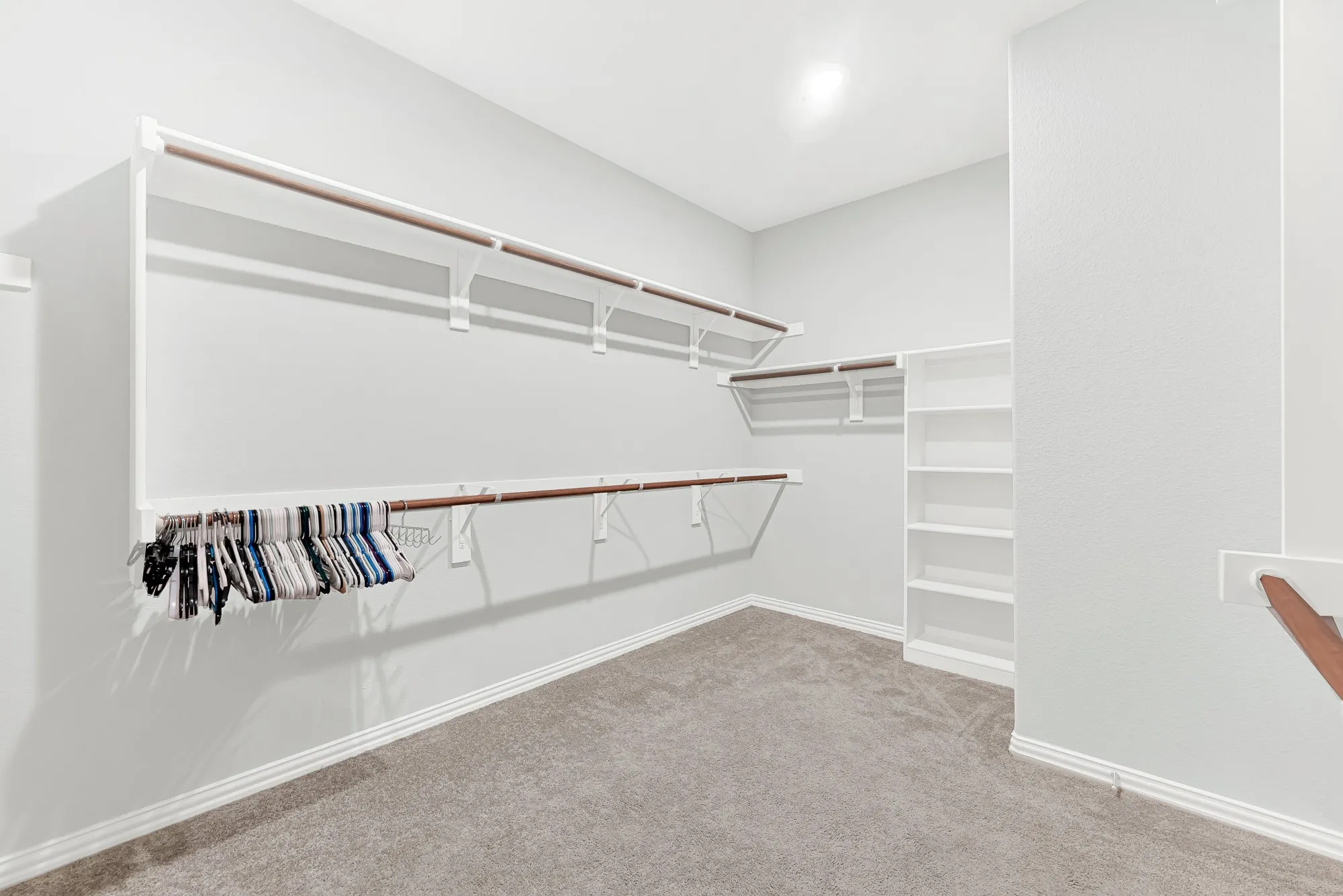 Spacious walk-in closet featuring extensive built-in shelving and hanging rods along multiple walls, neutral carpet flooring, recessed lighting, and ample storage capacity for a comprehensive wardrobe collection