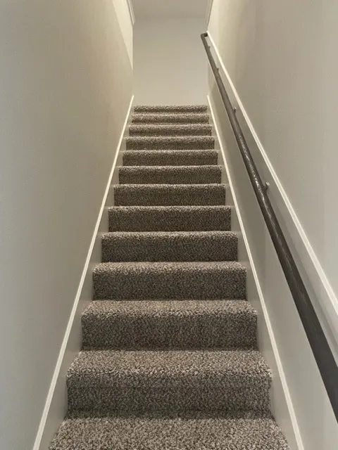 Carpeted staircase with light gray walls, white trim, and a dark handrail