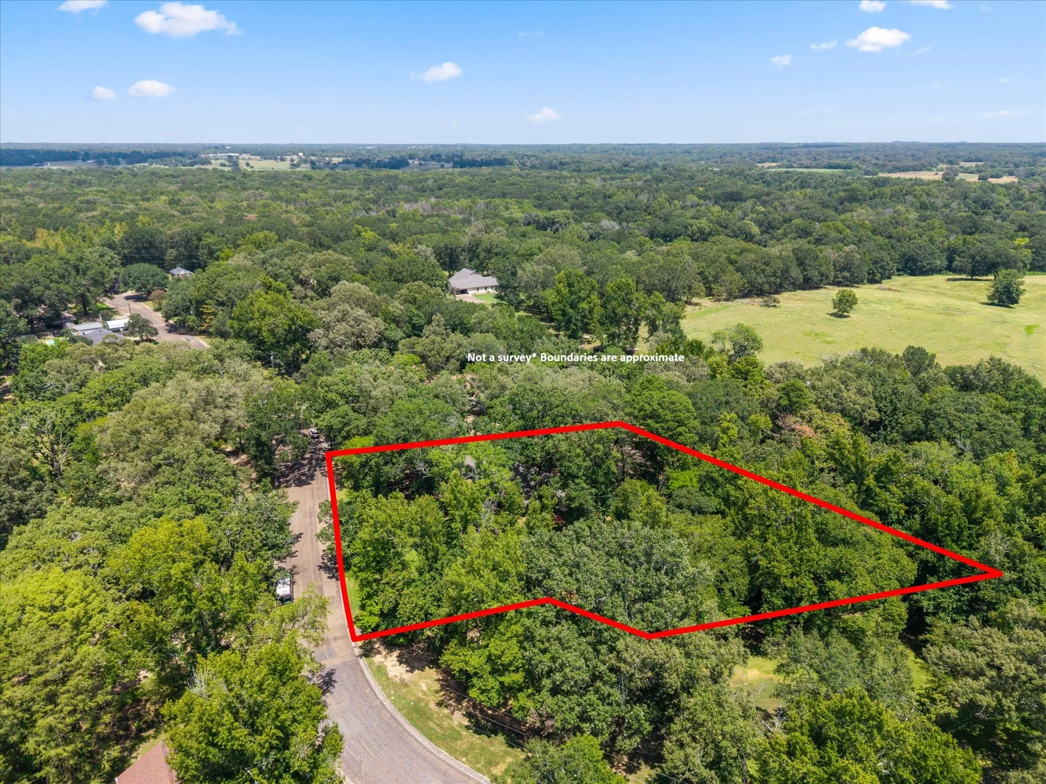 Single Family Residence For Sale in Titus County , 106 Lively Avenue, Mt Pleasant, Texas 75455, 3 Bedroom, 2 Bathroom, Garage spaces, 1,888 Sqft, built in 1967, mls#21371573, Real Estate Agent in Mt Pleasant, Homes For Sale in Titus county, Homes For Sale in Mt Pleasant, Realtor in Mt Pleasant Texas, Real Estate Brokerage Independent Realty Texas, Luminita Cordes Realtor