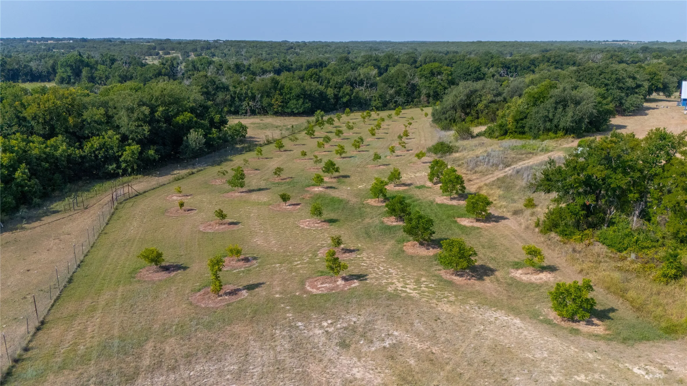 Farm For Sale in Erath County , 25270 East State Highway 6, Hico, Texas 76457, 4 Bedroom, 5 Bathroom, 2 Garage spaces, 2,763 Sqft, built in 2020, mls#21368172, Real Estate Agent in Hico, Homes For Sale in Erath county, Homes For Sale in Hico, Realtor in Hico Texas, Real Estate Brokerage Independent Realty Texas, Luminita Cordes Realtor