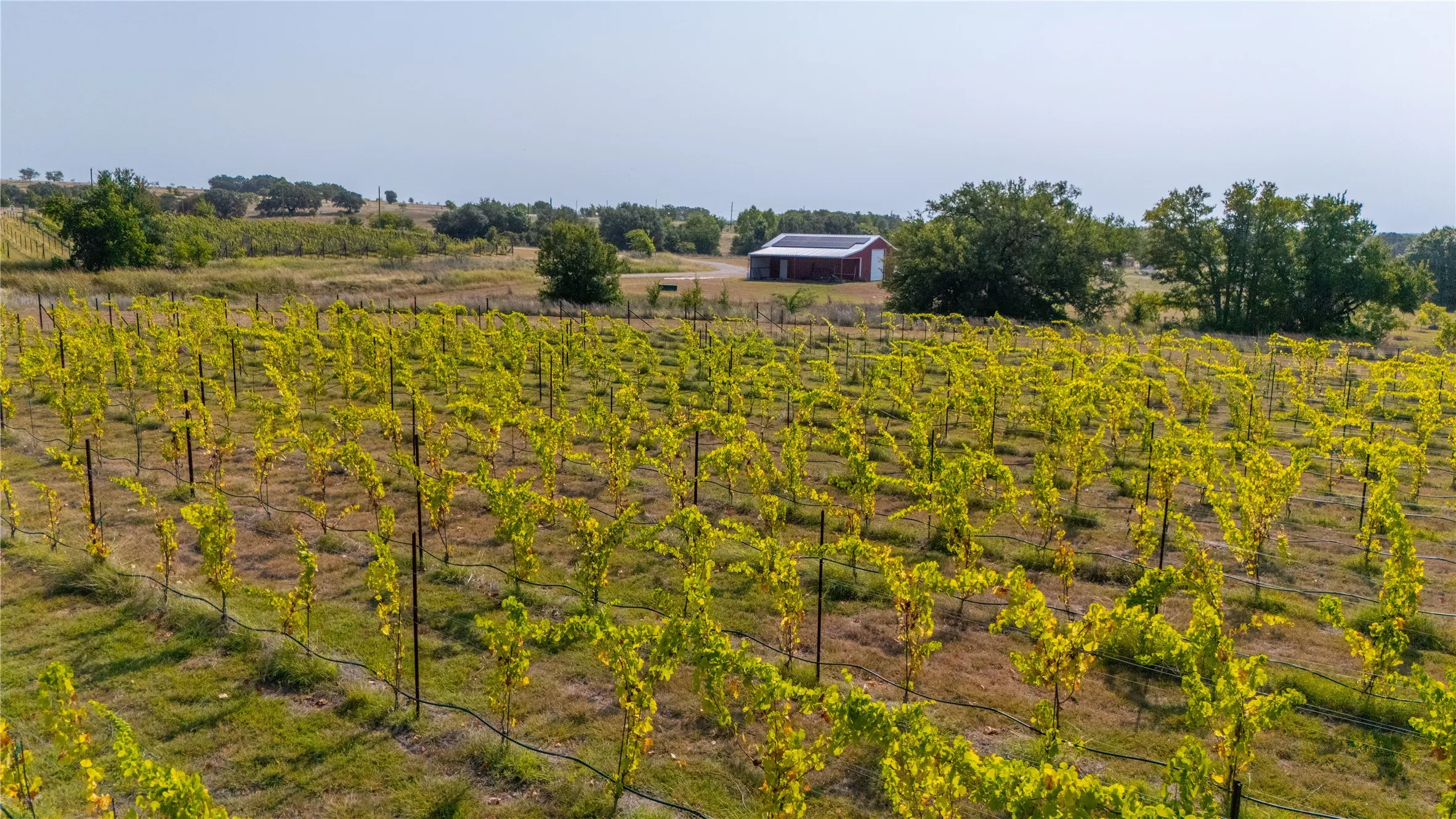 Farm For Sale in Erath County , 25270 East State Highway 6, Hico, Texas 76457, 4 Bedroom, 5 Bathroom, 2 Garage spaces, 2,763 Sqft, built in 2020, mls#21368172, Real Estate Agent in Hico, Homes For Sale in Erath county, Homes For Sale in Hico, Realtor in Hico Texas, Real Estate Brokerage Independent Realty Texas, Luminita Cordes Realtor